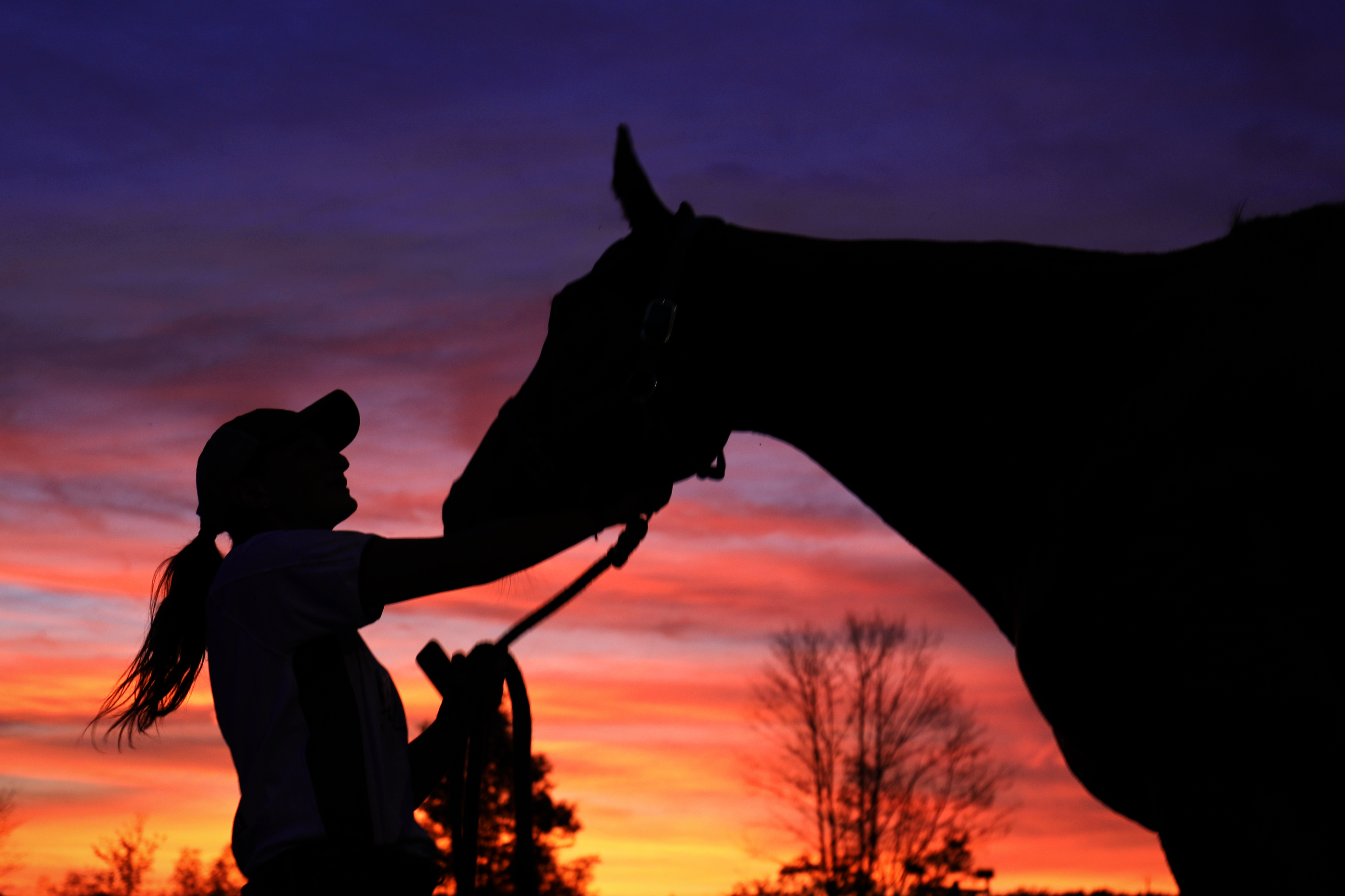 "At Sunset" (September 2017 - Skidmore polo training center), Aoran Wu