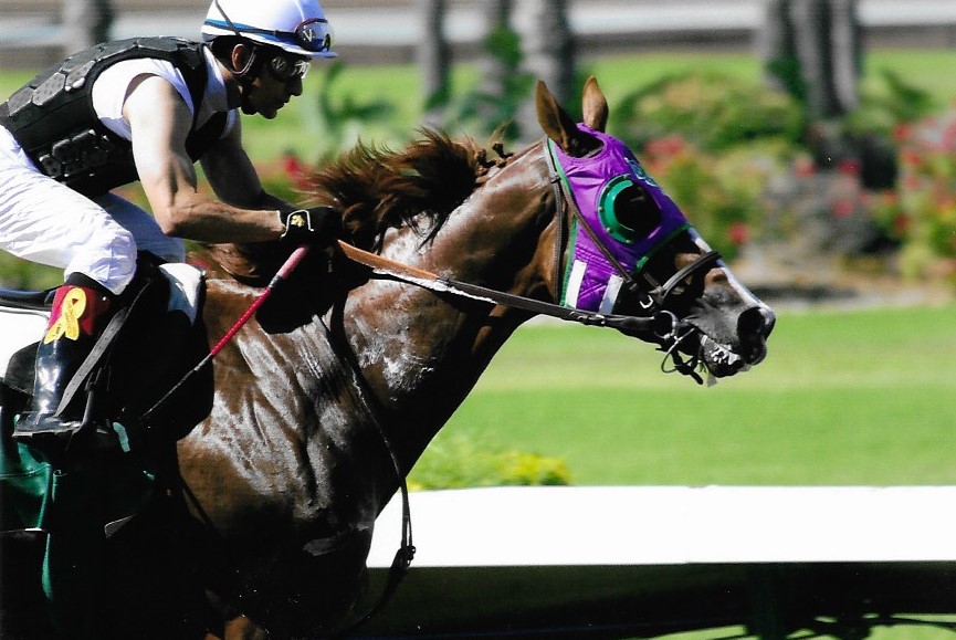 "Forever Chrome" (April 2014 - Los Al Race Course), Nancy Wilkinson