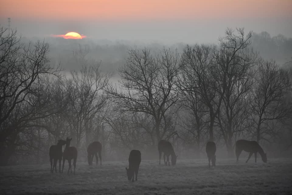 “Kentucky Winter (I)” by Antonio Chavez Meza