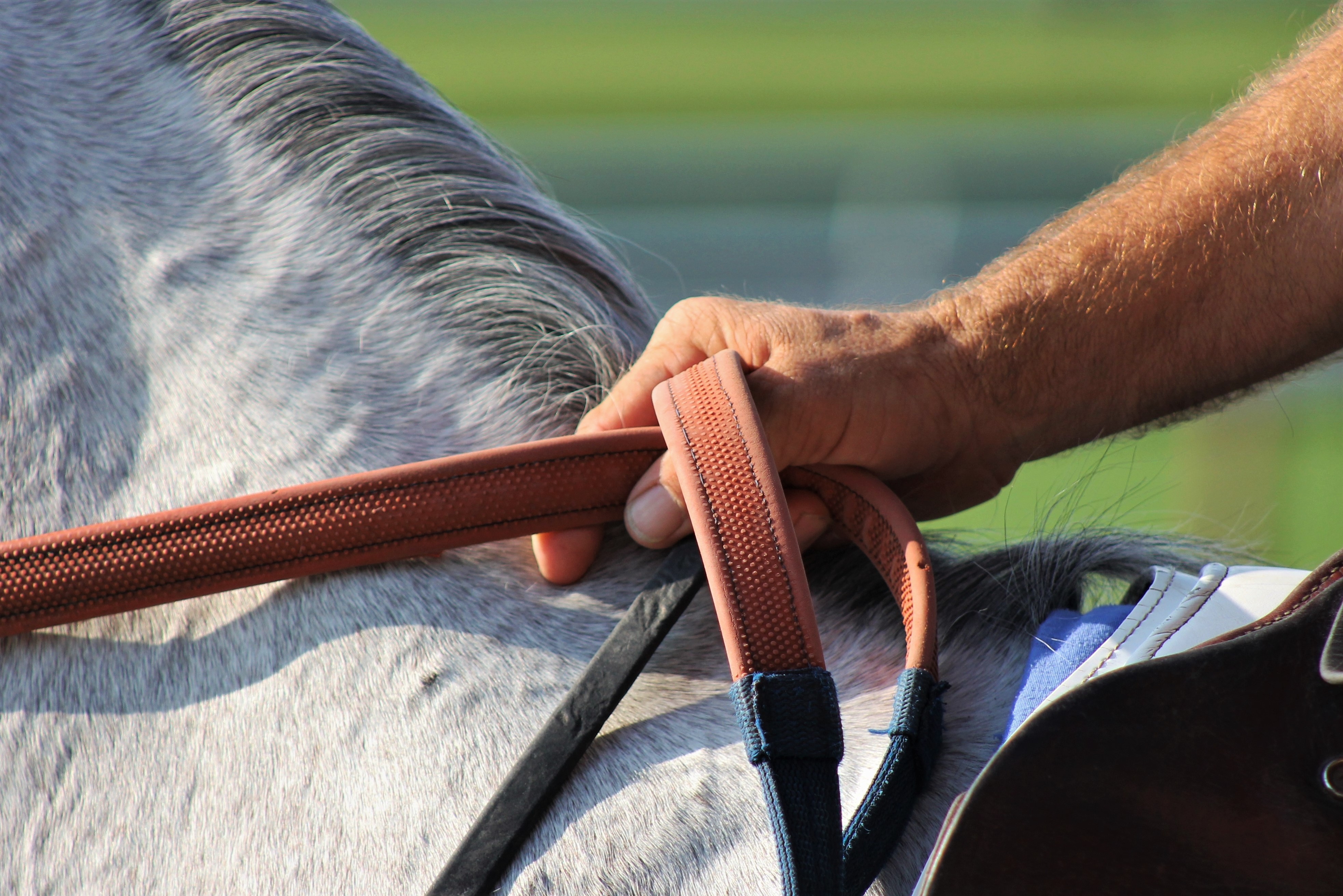 "Anticipation" (August 1, 2017 - Saratoga Race Course), Paige Cerulli