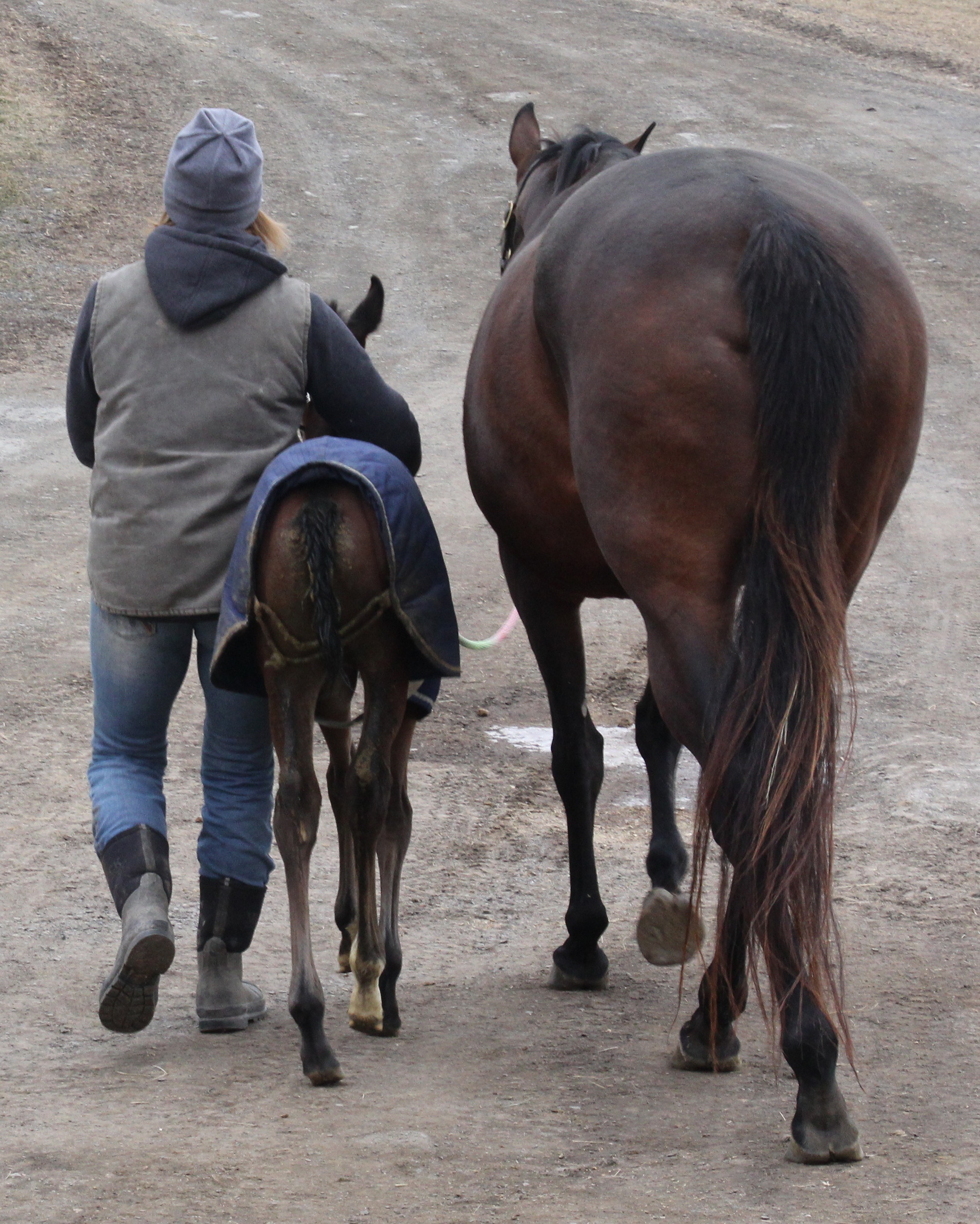 "Mommy, Me and "D" makes three!" (2019 - Saratoga Race County), Tina Marie DeVincenzo