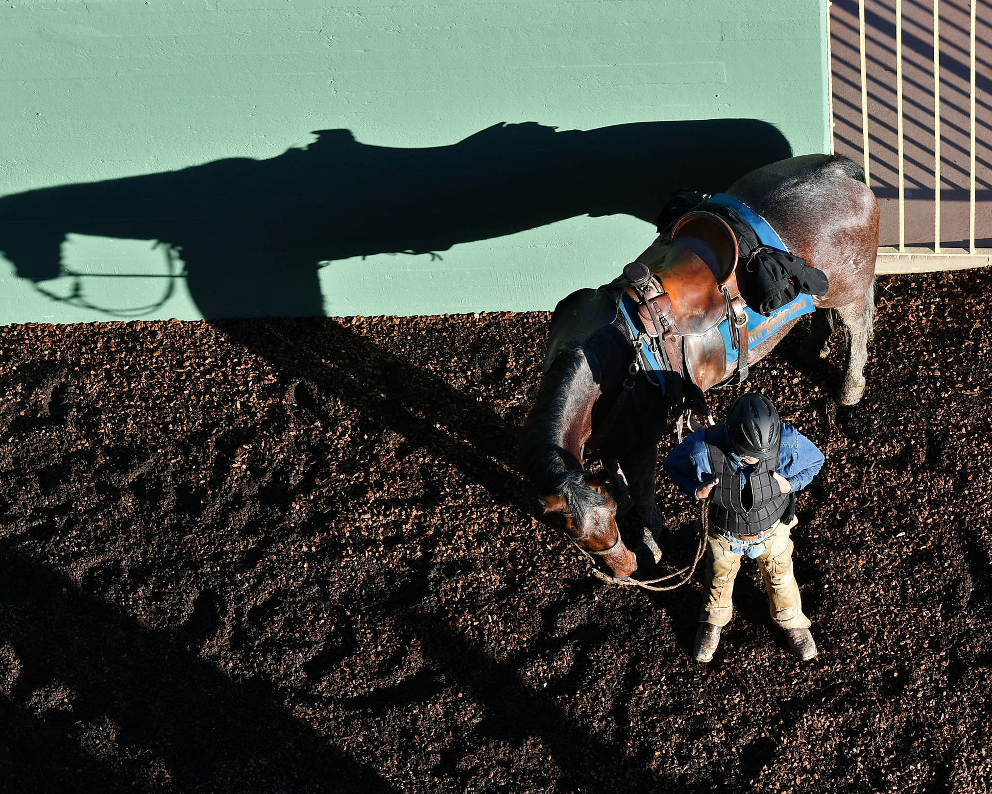 "Picasso Pony, Rider Tom Ellet & His Pony Horse - Vox Populi Day" (January 12, 2019 - Walk leading to tunnel - Santa Anita), Gary Tasich