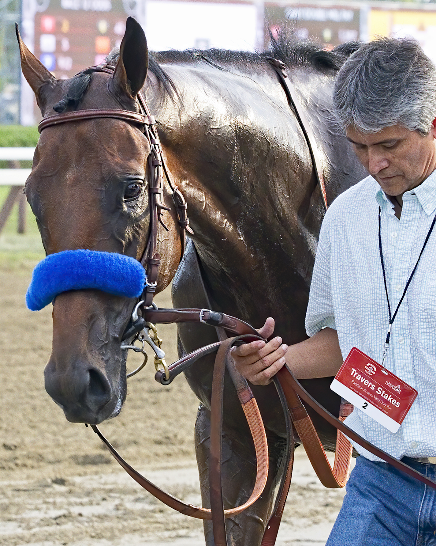 "Stunning Upset: A Saratoga Racing Memory" (August 29, 2015 - Saratoga Race Track), Debbie Krohl