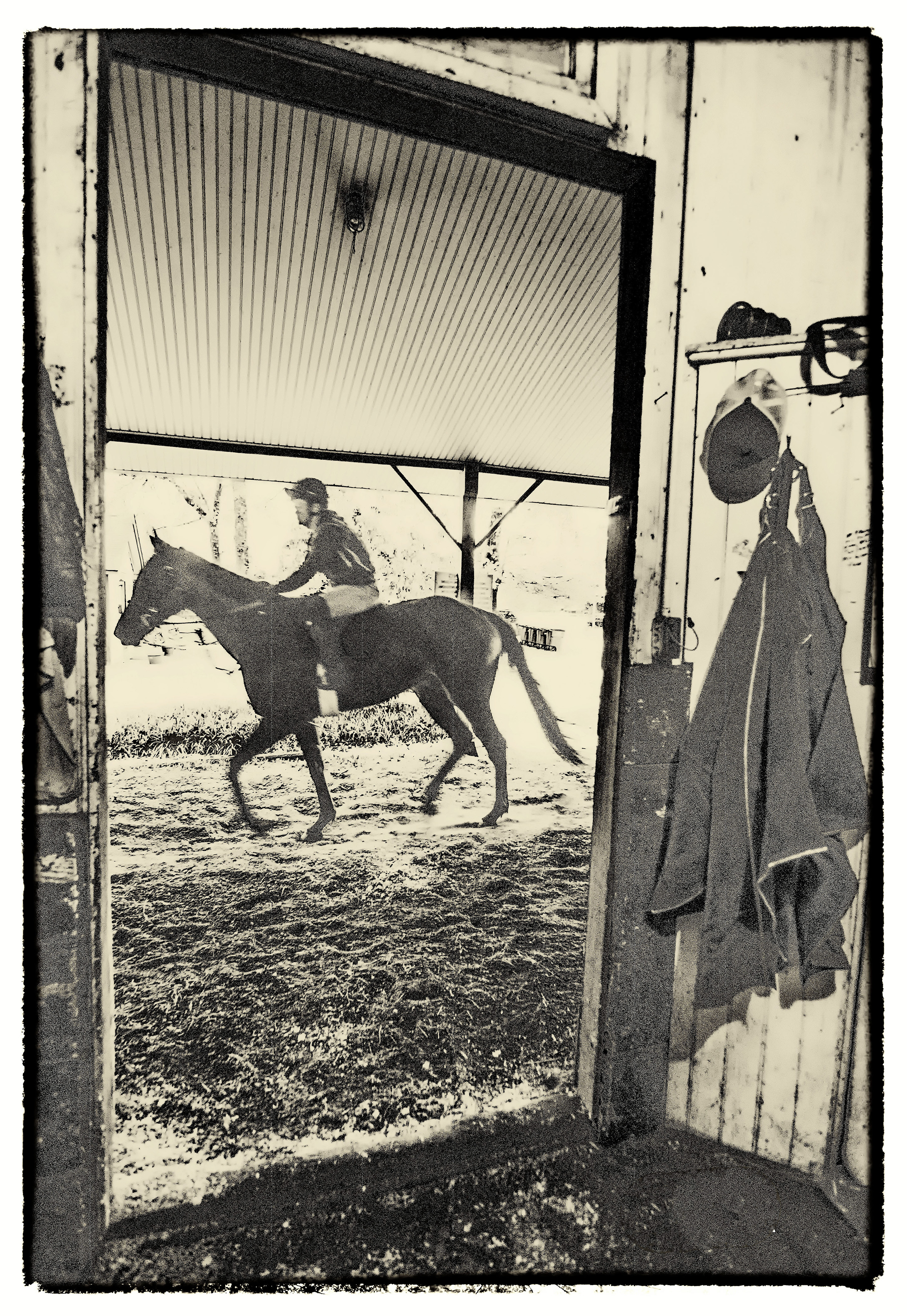 "Shedrow" (February 2022 - Aiken Training Track, Aiken, SC), Barry Bornstein