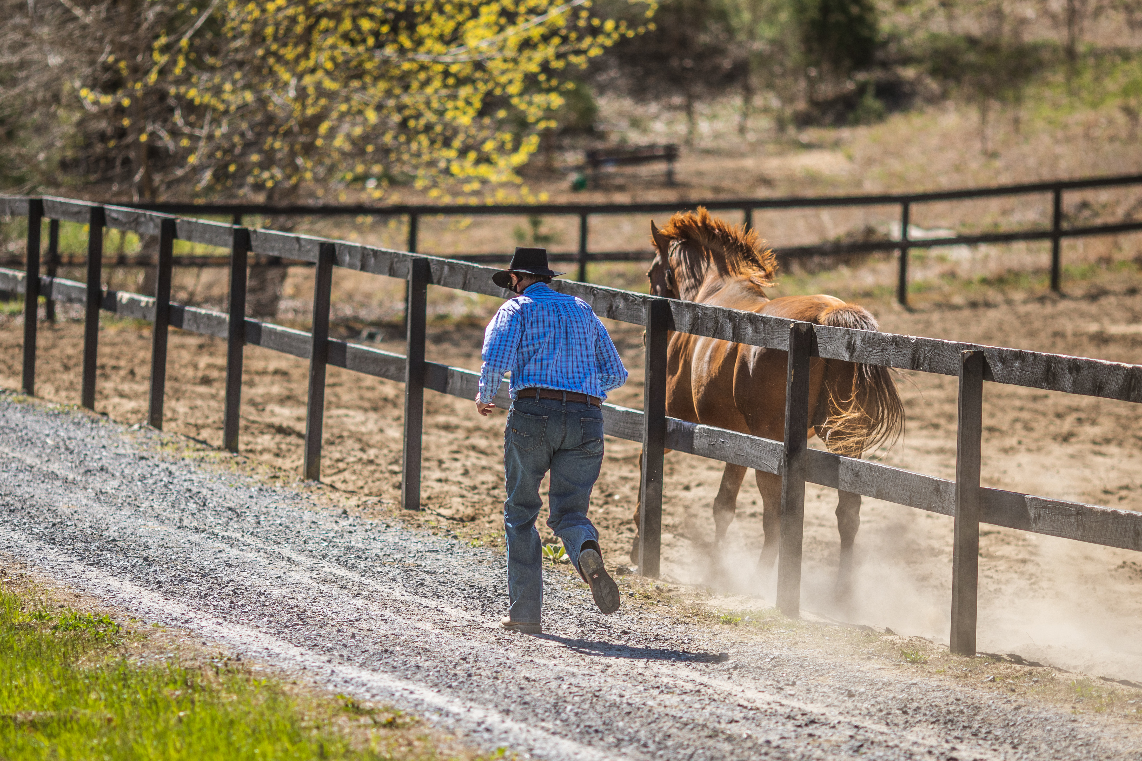 “Mr Cowboy Loves to Run” by Samantha Decker