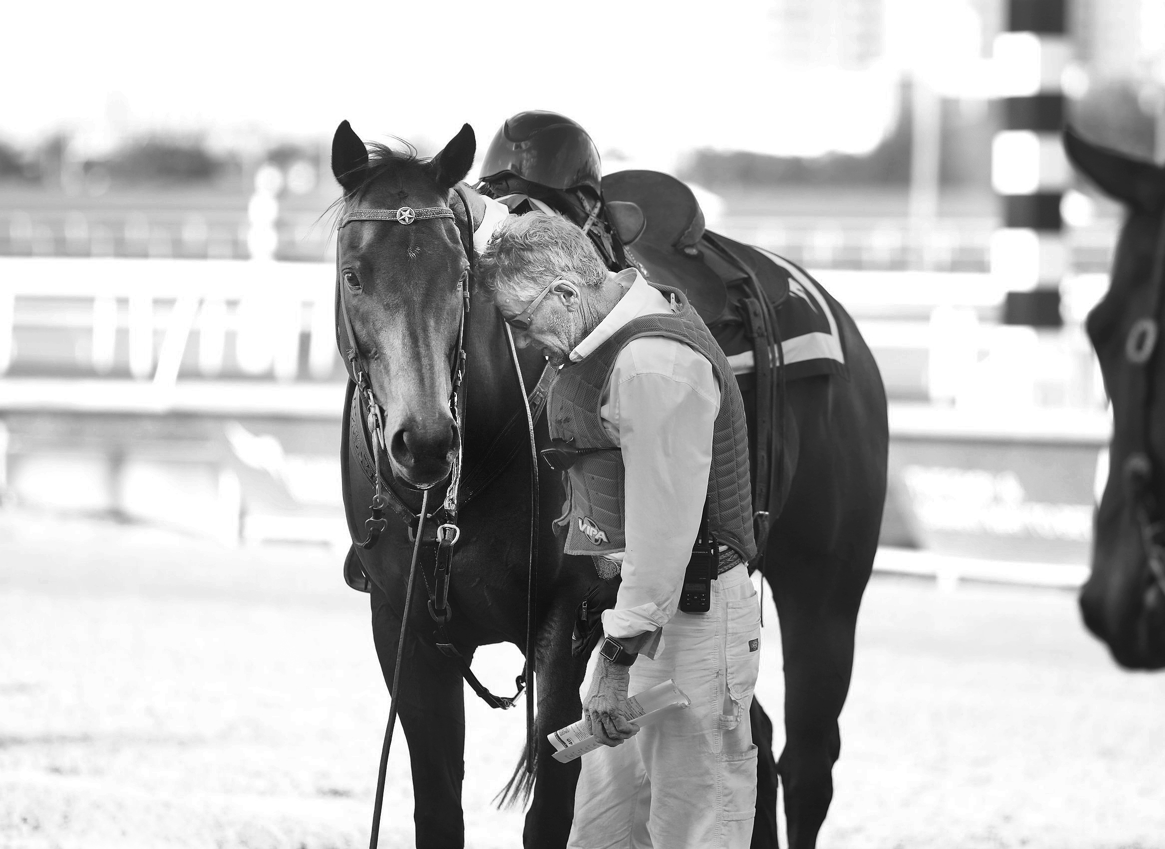 "The Last Ride" (Gulfstream Park, Hallandale Beach, FL - April 3, 2021), photograph by Gwen Davis