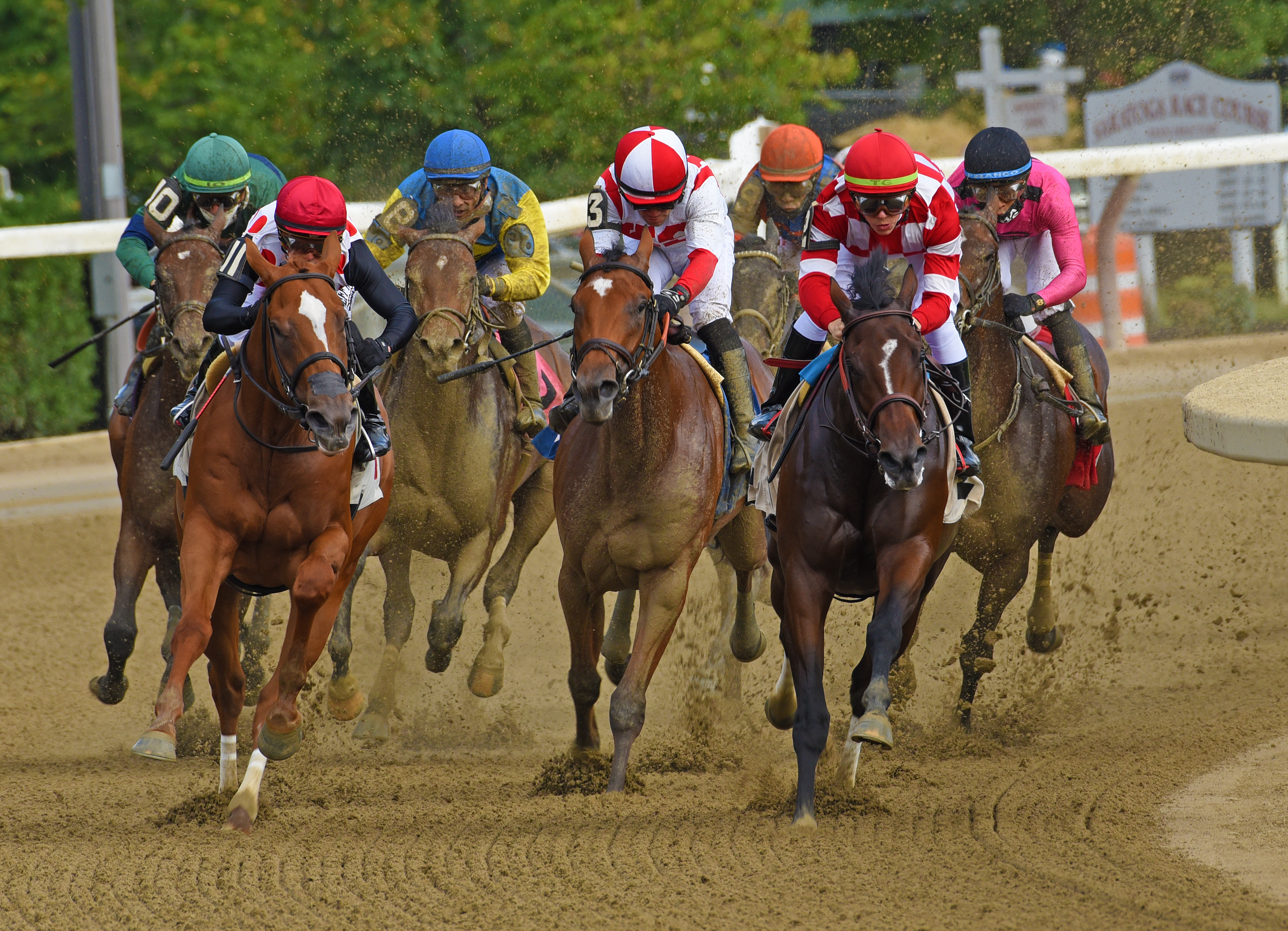 “The Jockeys” by David Fingerhut