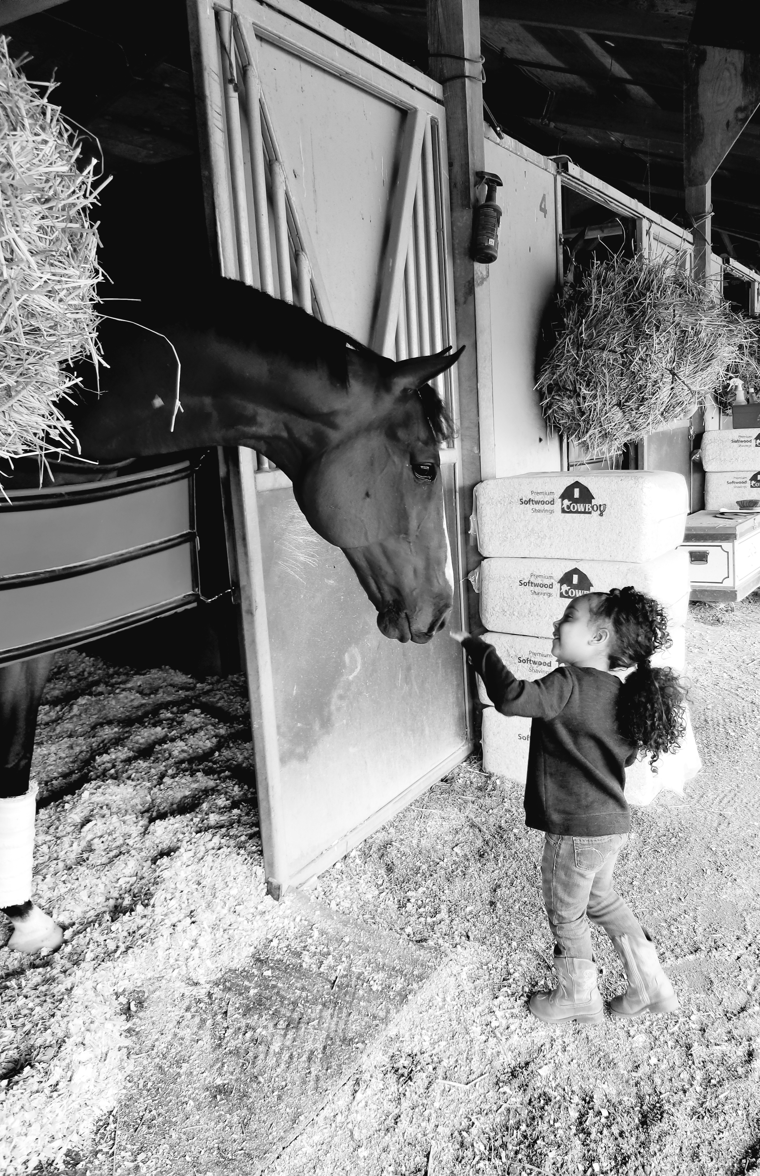 "My Special Keys" (September 2020 - Canterbury Park backside), Heather Andreasen