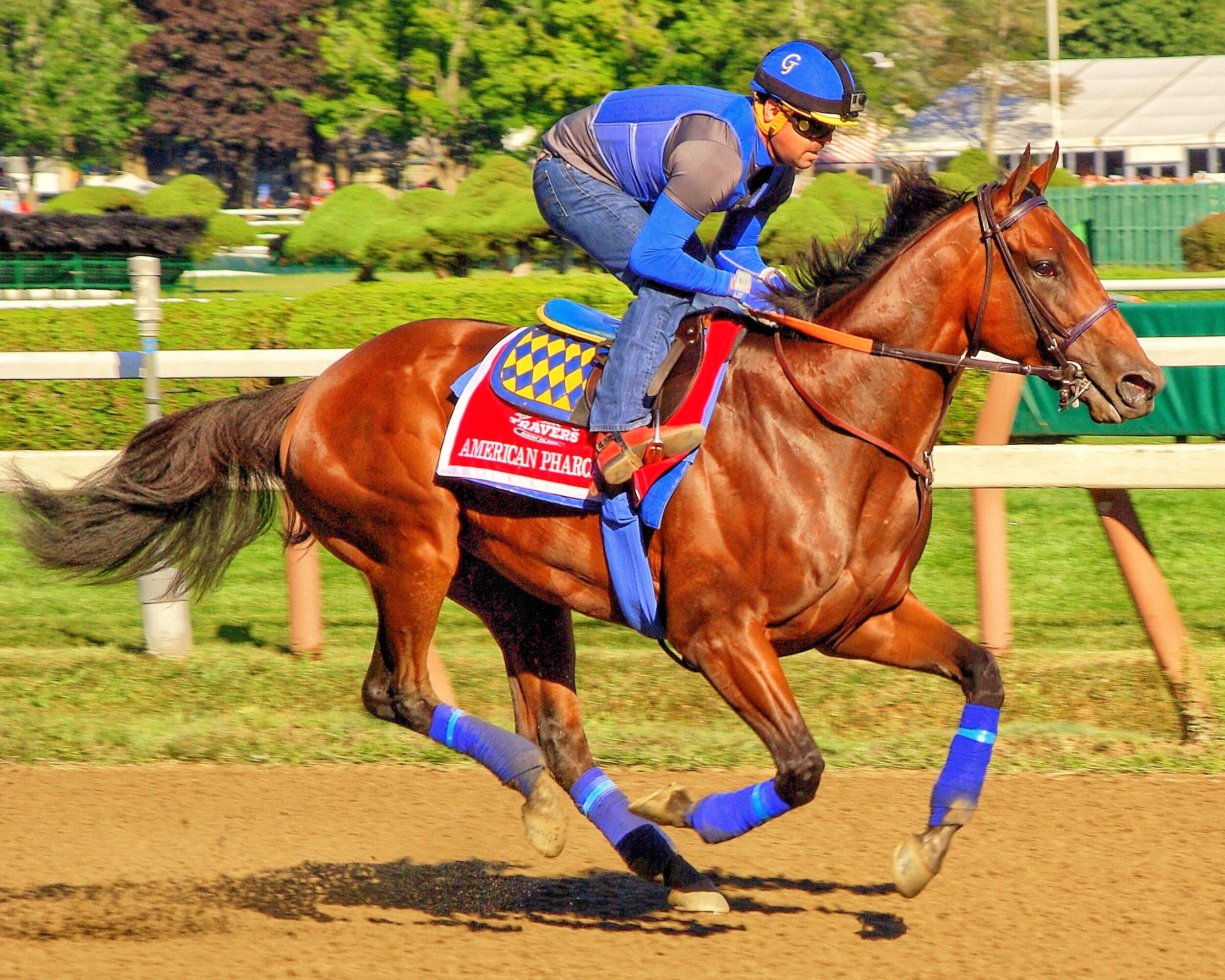 "Champion Draws a Crowd" (August 28, 2015 - Saratoga, NY), Frank Panucci