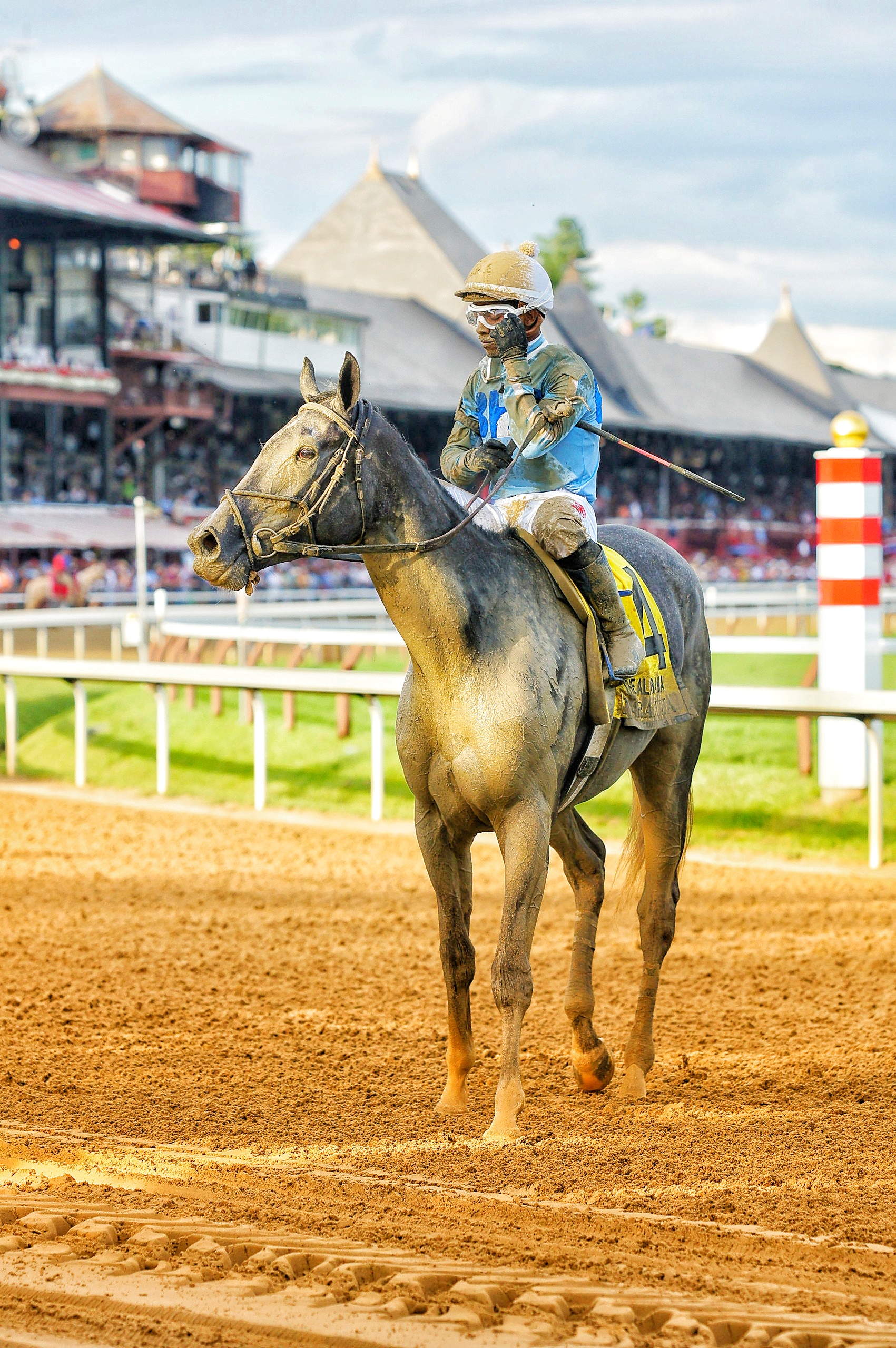 "7th Place Victory" (August 21, 2021 - Saratoga), Shawn Taylor