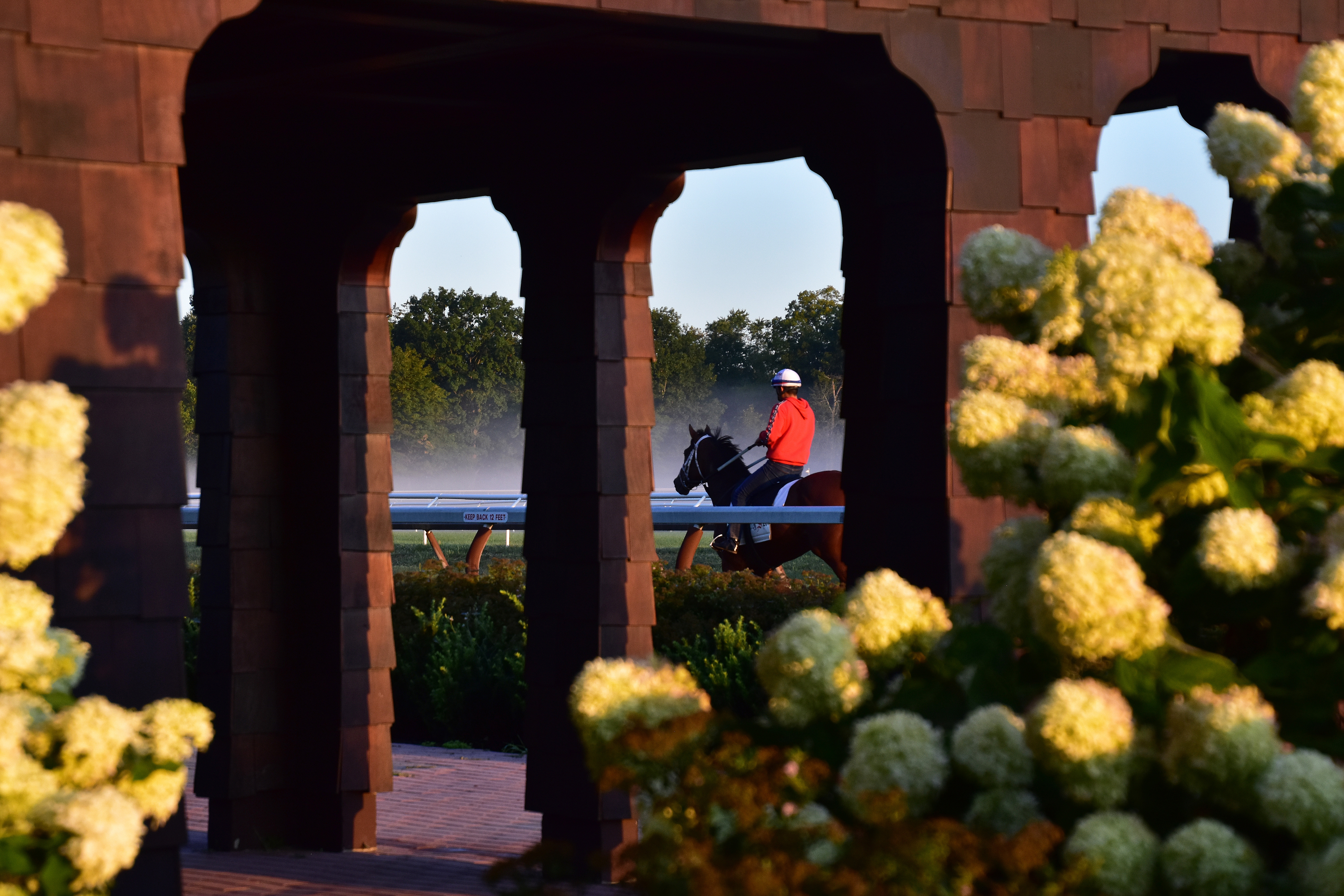 "Morning Glory at the Whitney Viewing Stand" (2019 - Saratoga), Lynn Ermis