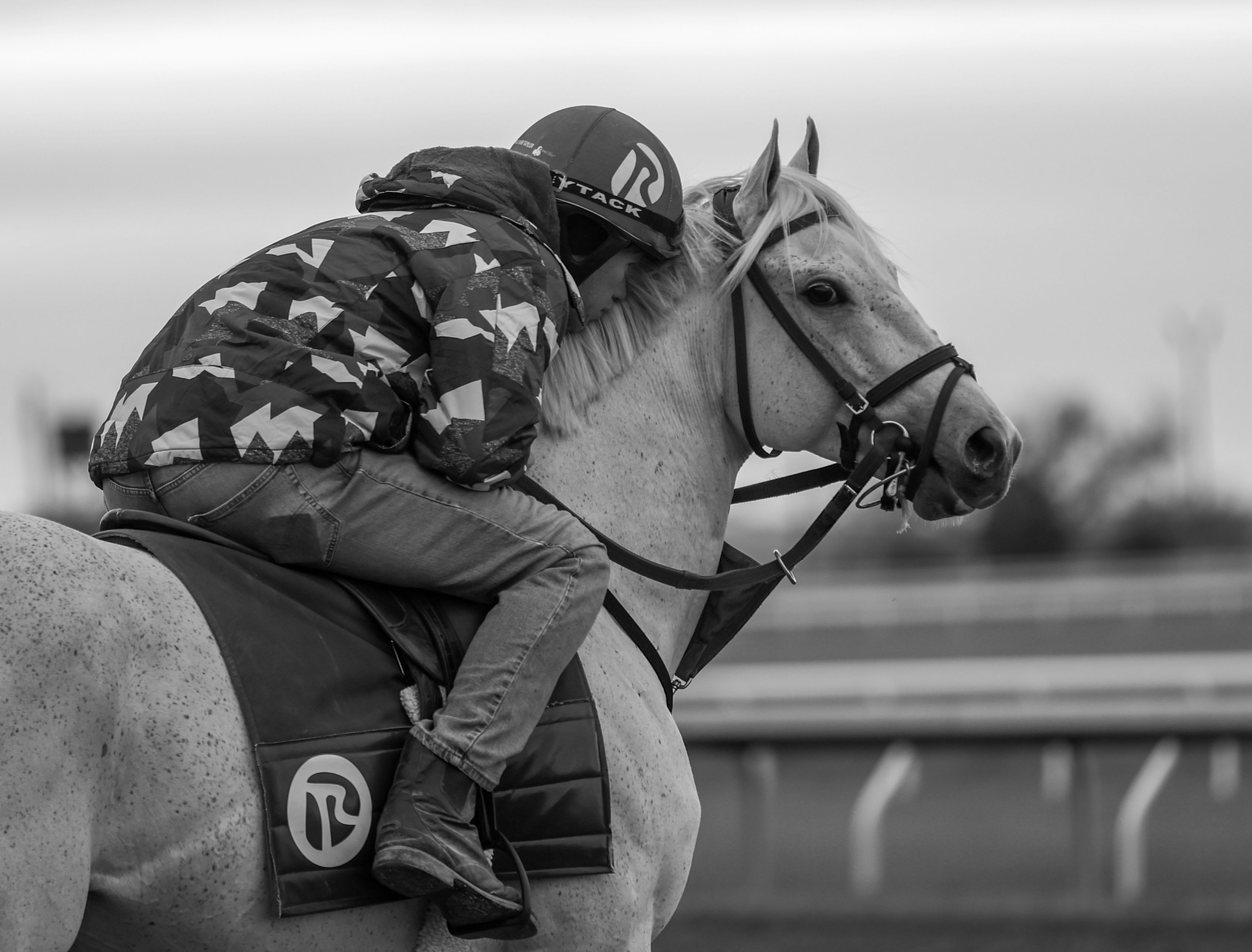 "Intimate Moment" (Keeneland, Lexington, KY - October 27, 2022), photograph by Tim Sudduth