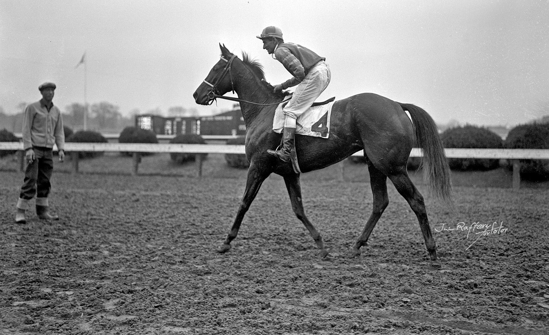 Rampart, nine-time stakes winner, M. Basile up, Nov. 4, 1948, Pimlico Race Course (Jim Raftery Turfotos)