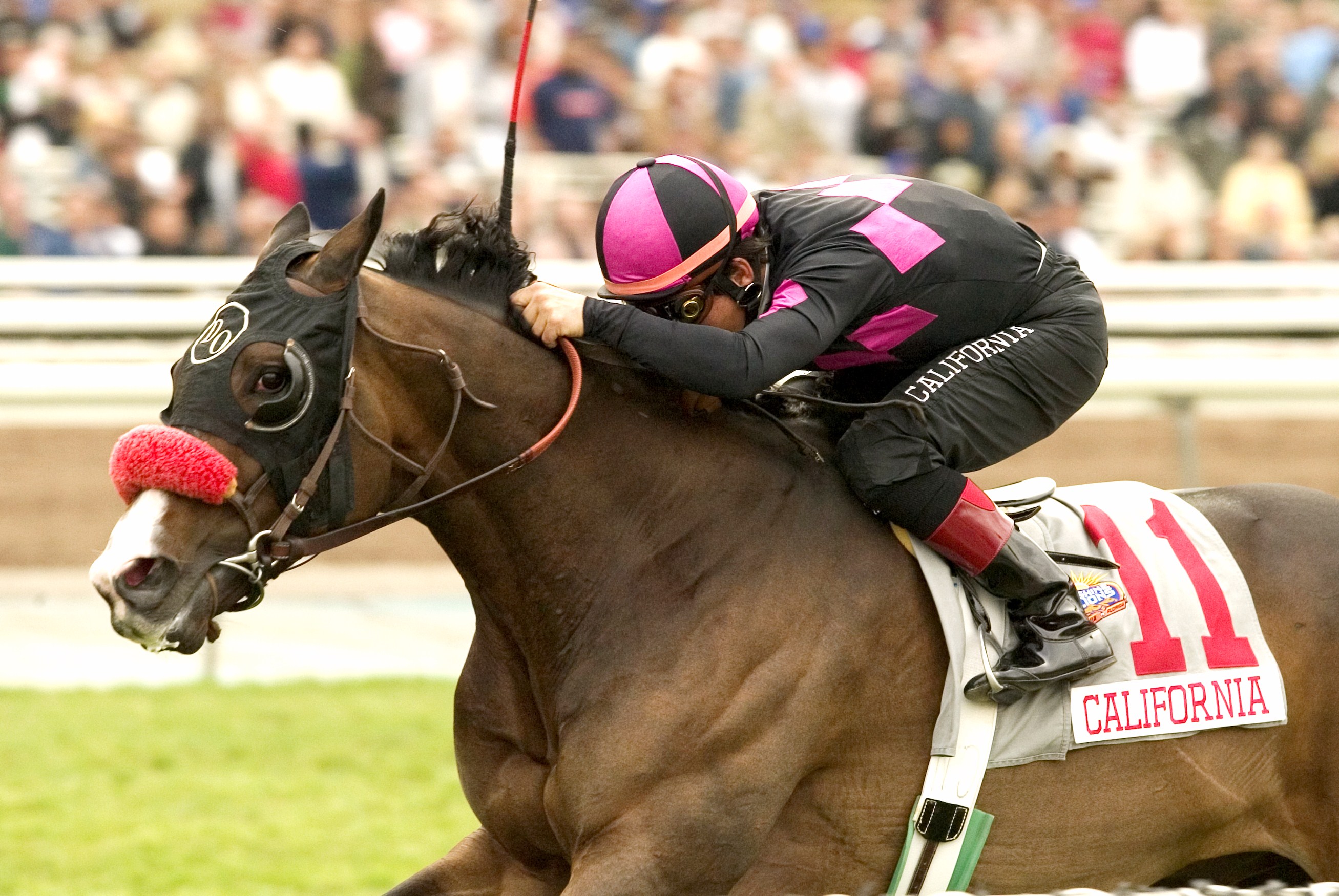 Lava Man, Corey Nakatani up (Benoit Photo)