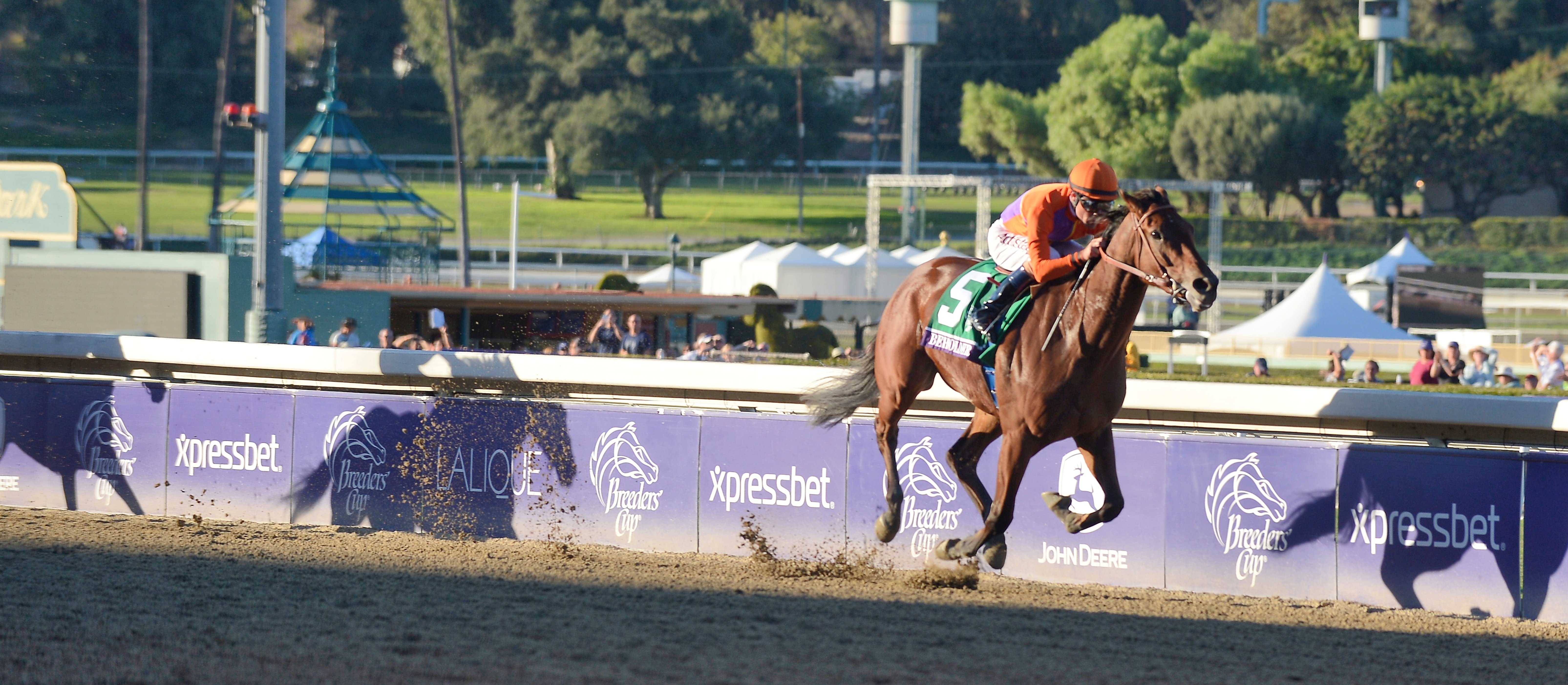 Beholder, Gary Stevens up, winning the 2013 Breeders' Cup Distaff at Santa Anita (Breeders' Cup/Eclipse Sportswire)