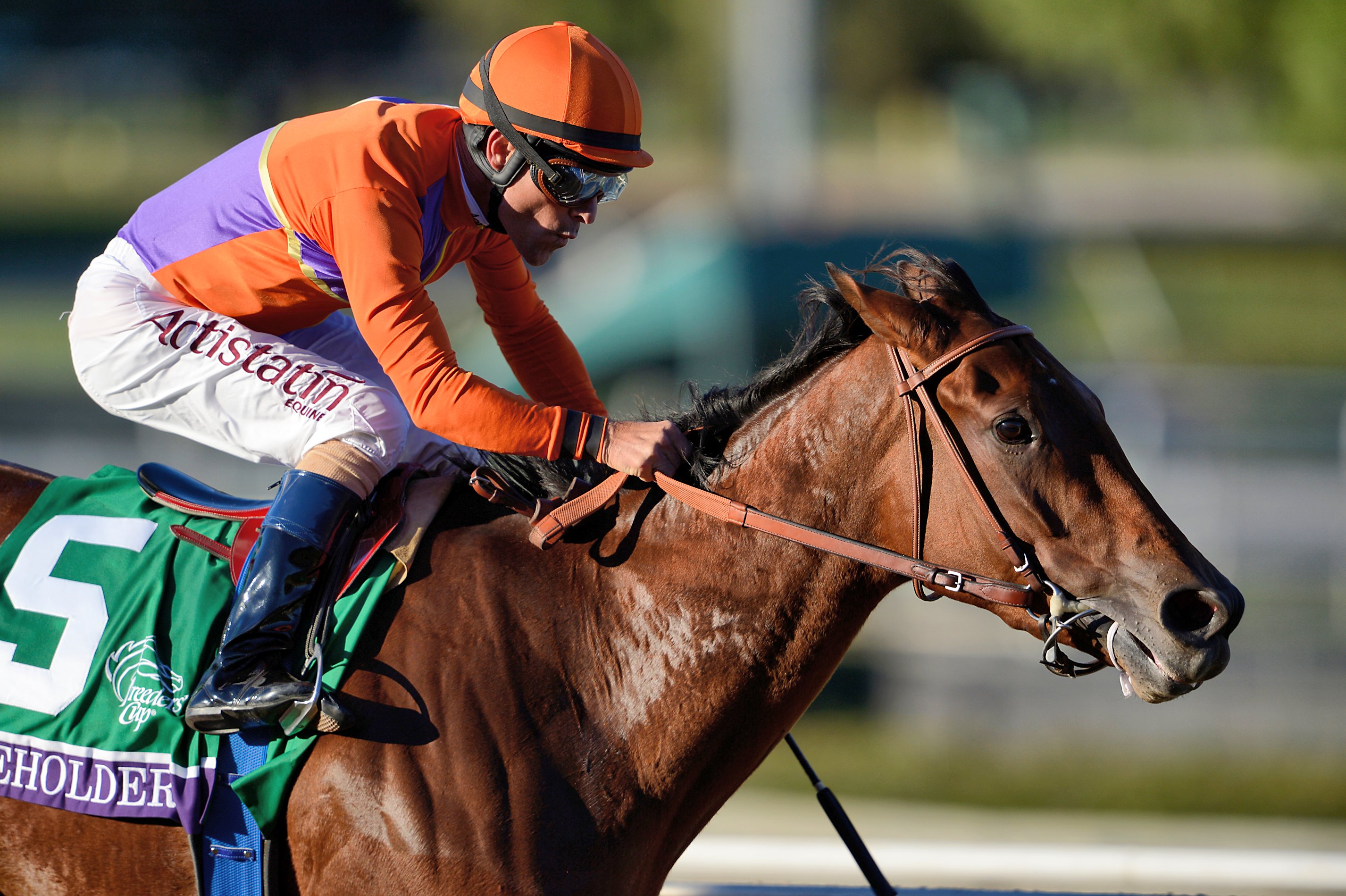 Beholder, Gary Stevens up, winning the 2013 Breeders' Cup Distaff at Santa Anita (Breeders' Cup/Eclipse Sportswire)