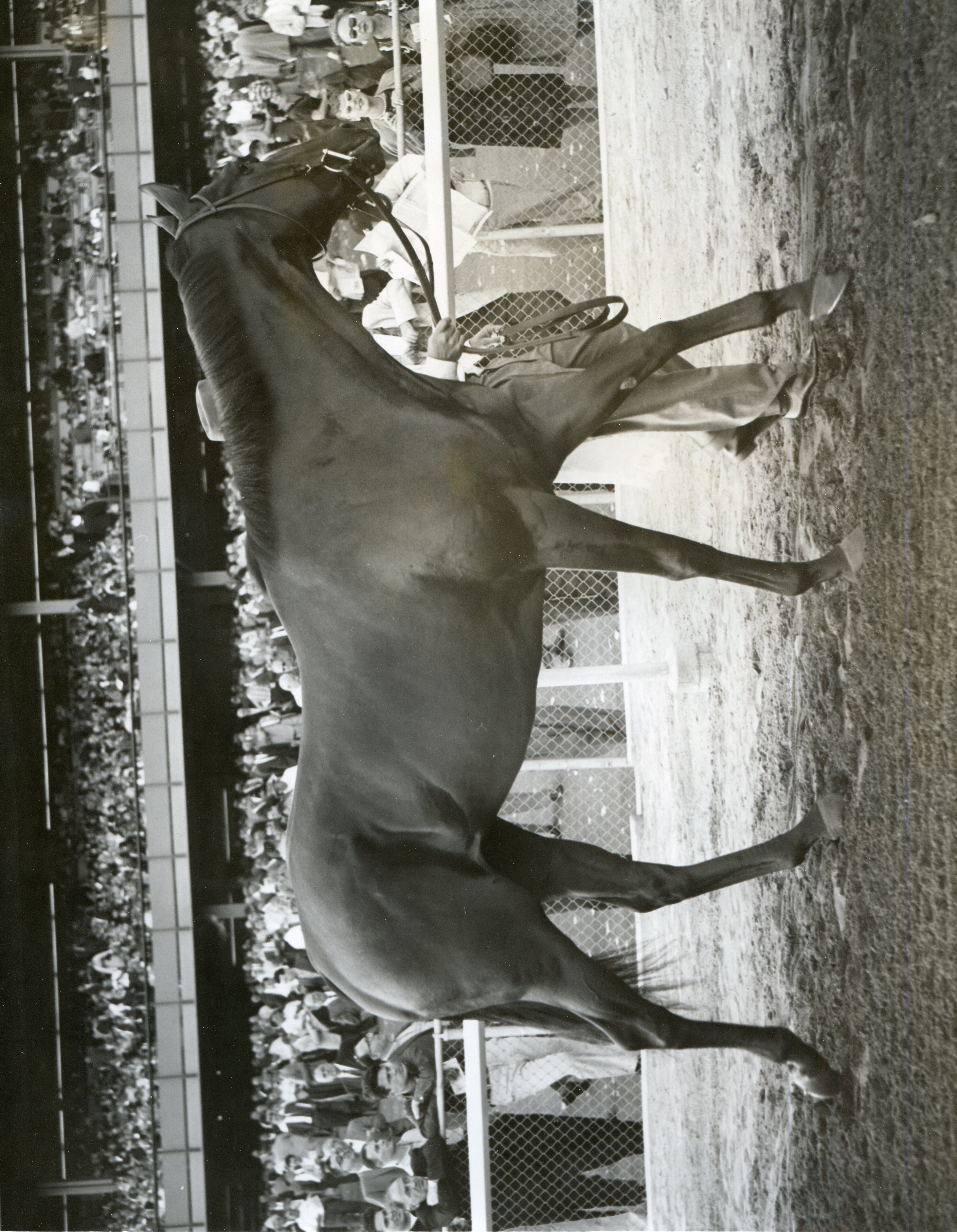 Hillsdale (Bert and Richard Morgan/Museum Collection)