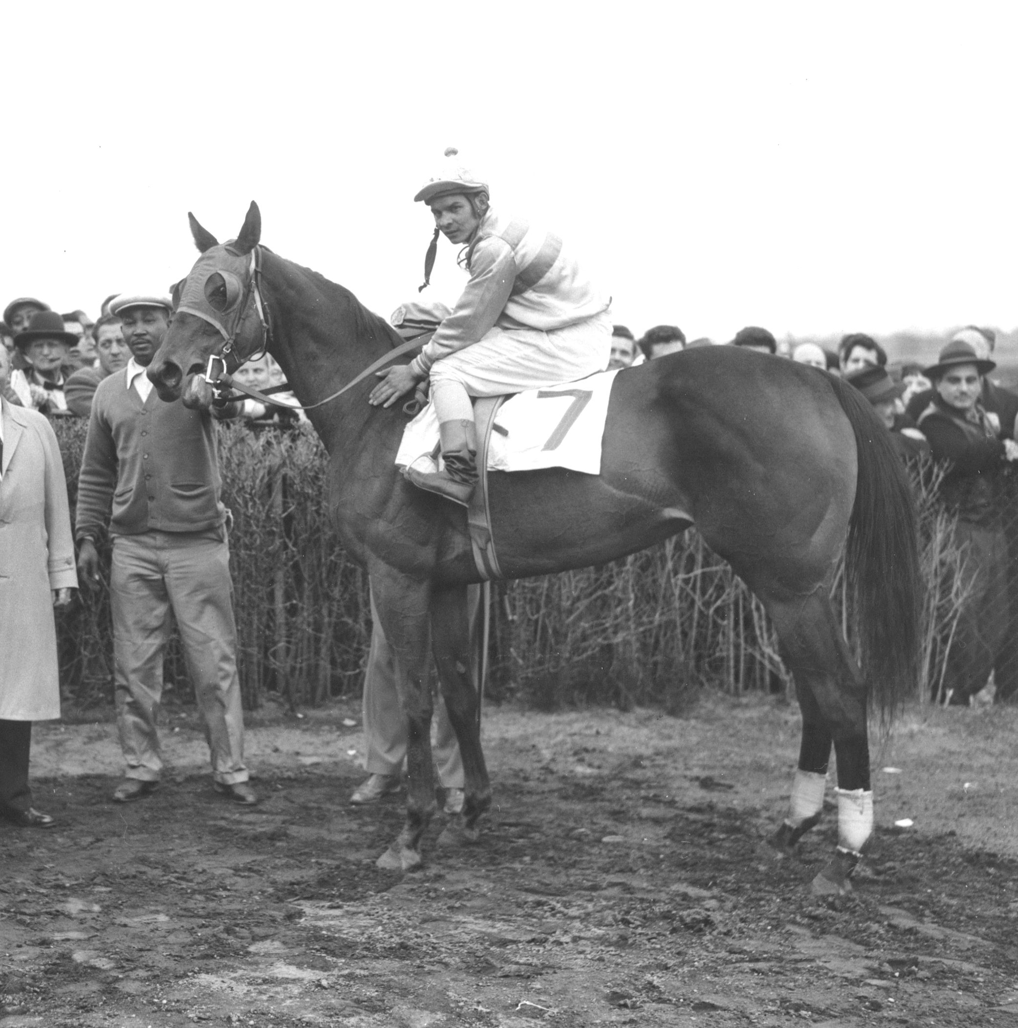 Searching in the winner's circle with Ismael Valenzuela up (Bert Morgan/Museum Collection)