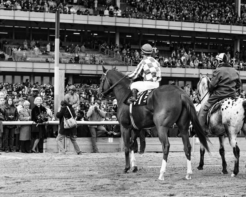 Secretariat (NYRA)