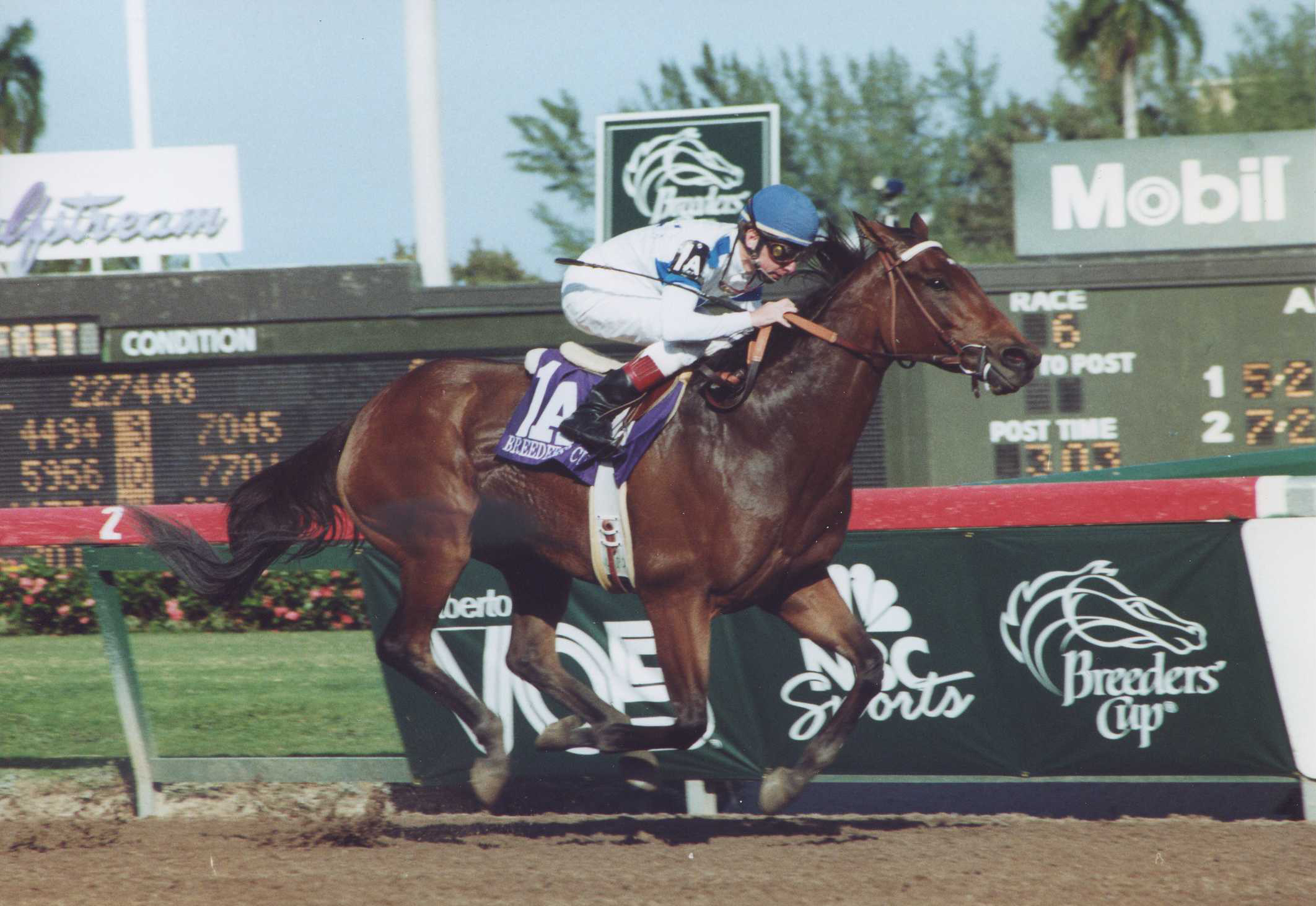 Paseana (Chris McCarron up) winning the 1992 Breeders' Cup Distaff at Gulfstream Park (Barbara D. Livingston/Museum Collection)