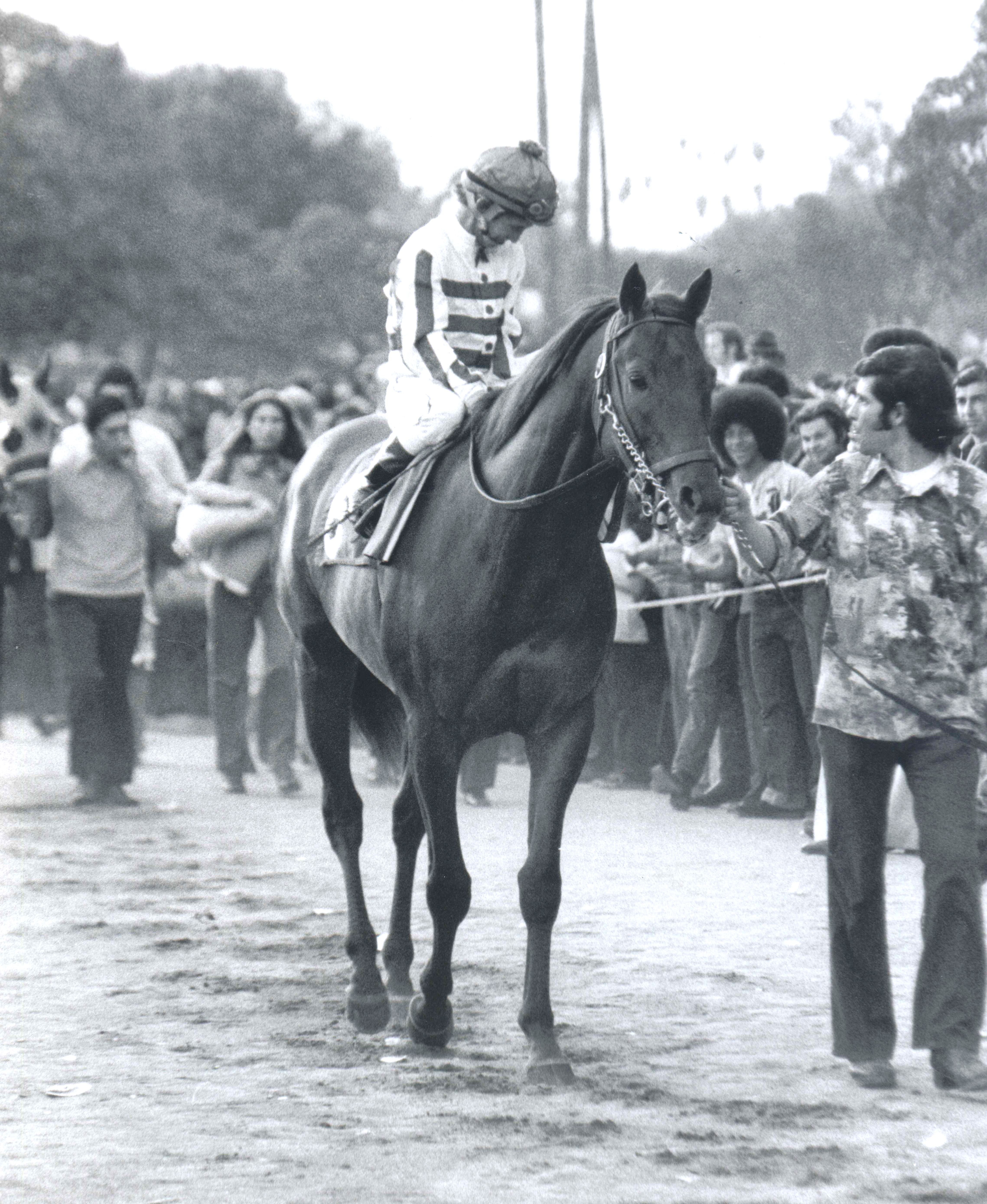 Exceller (Bill Shoemaker up) at the 1978 Oak Tree Invitational at Santa Anita (Bill Mochon/Museum Collection)