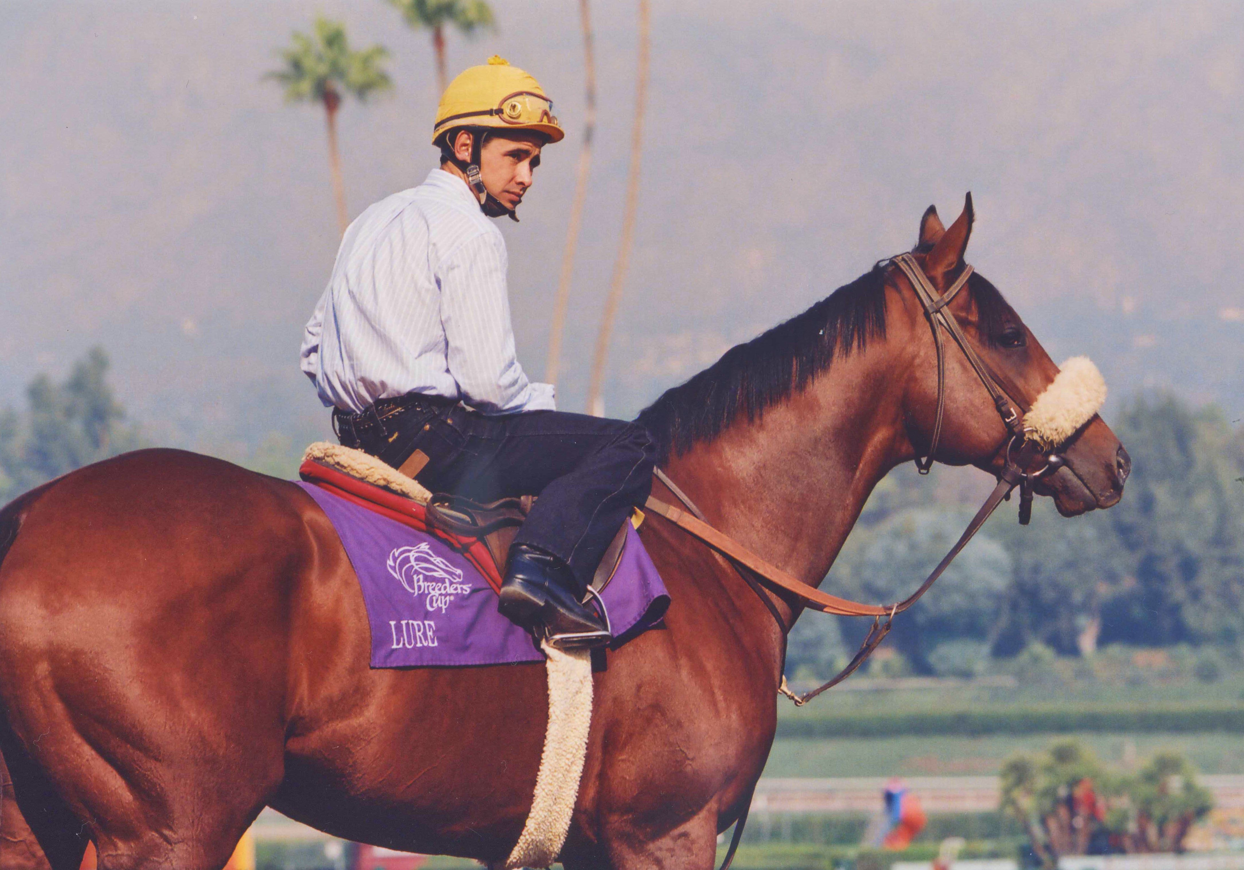 Lure with Mike Smith up at Santa Anita Park in 1993 (Barbara D. Livingston)