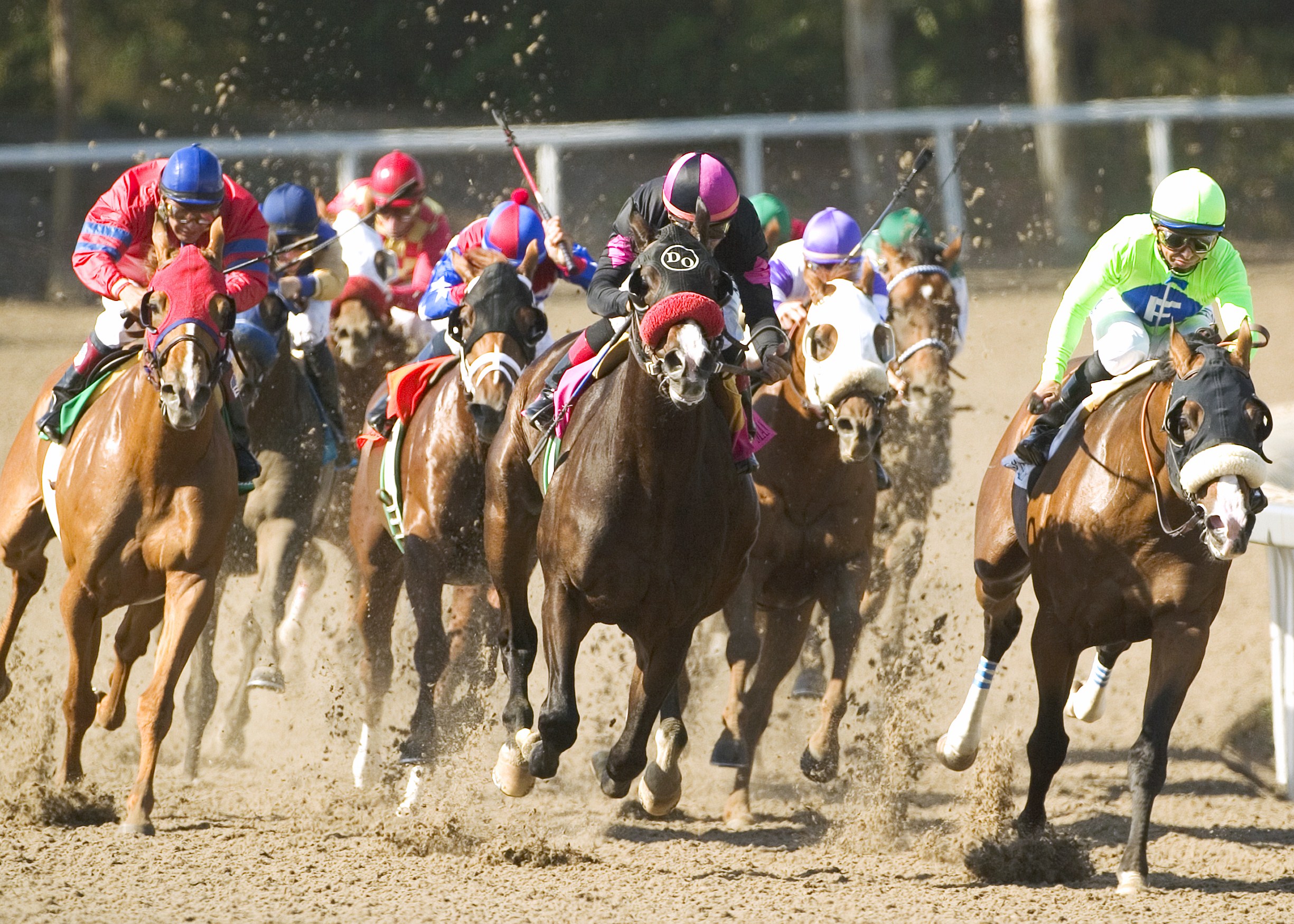 Lava Man, Corey Nakatani up (Benoit Photo)