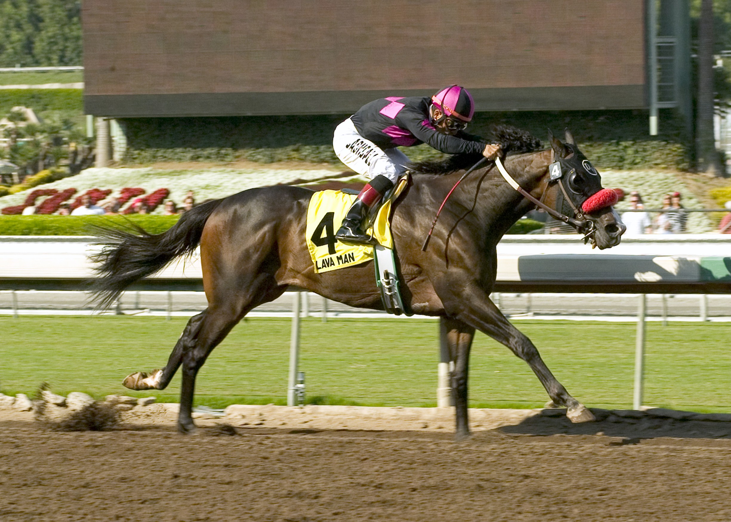 Lava Man, Corey Nakatani up (Benoit Photo)