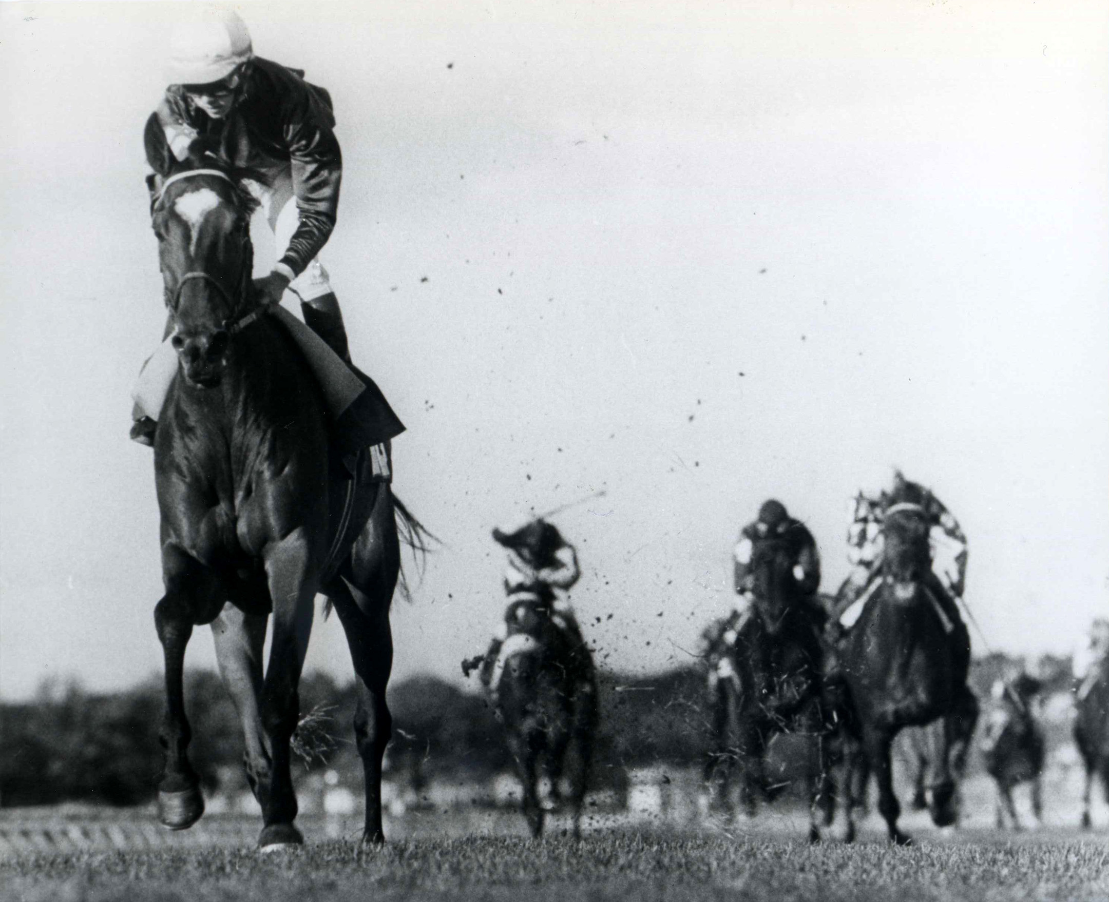 All Along races to victory in the 1983 Turf Classic at Aqueduct (Bob Coglianese/Museum Collection)