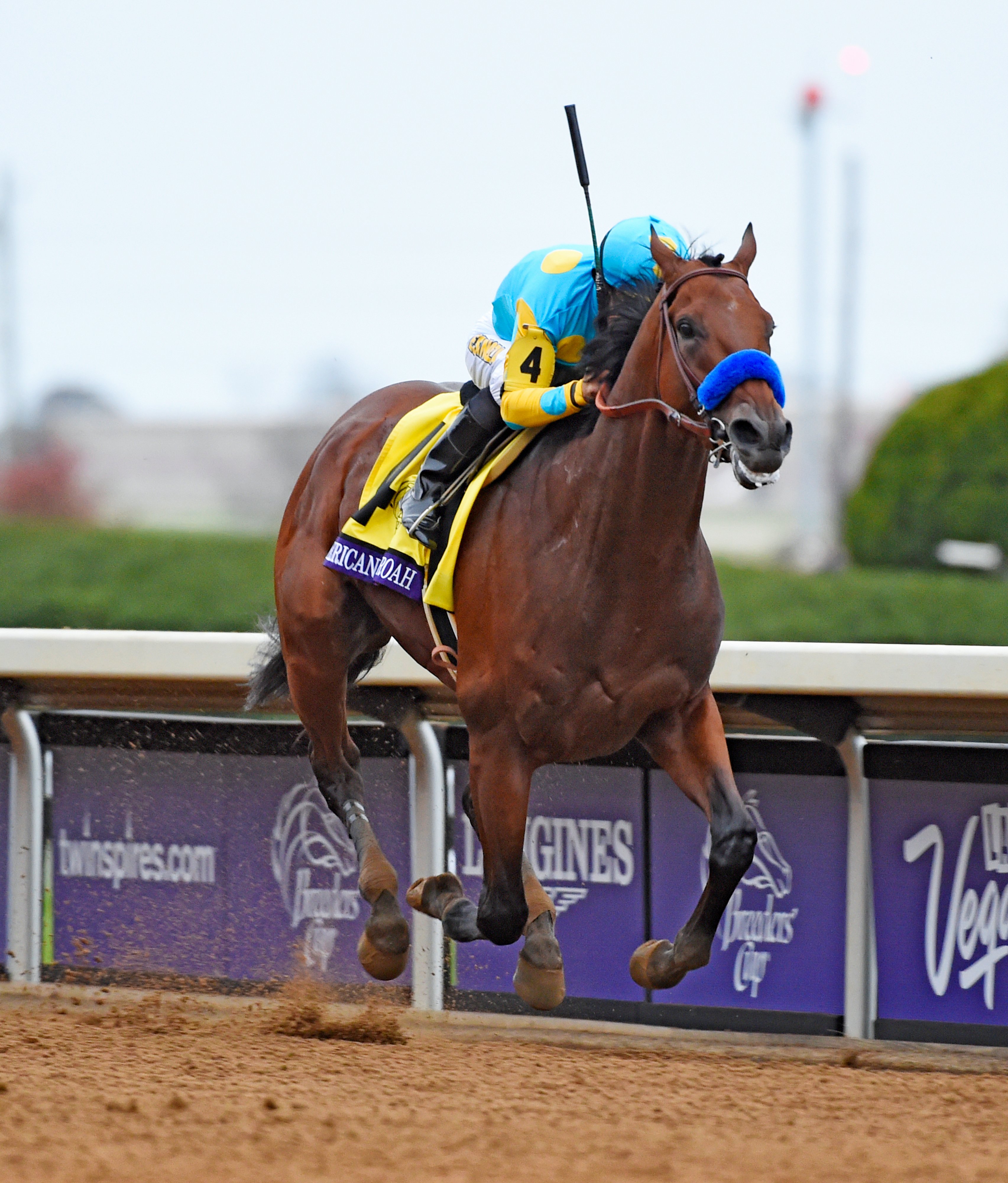 American Pharoah, Victor Espinoza up, winning the 2015 Breeders' Cup Classic at Keeneland in track-record time (Skip Dickstein)