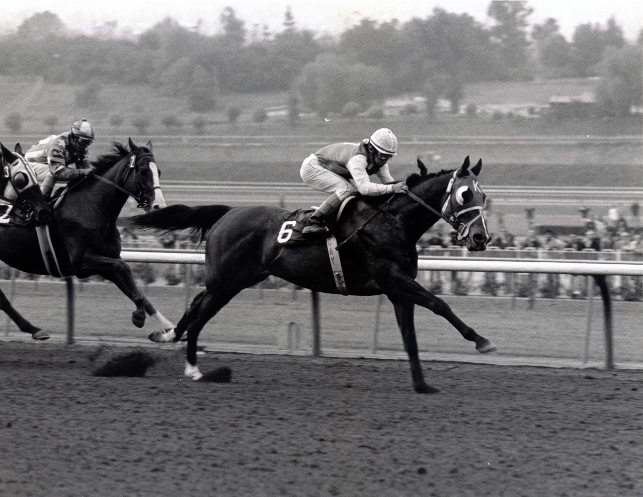 Ancient Title (Laffit Pincay, Jr. up) wins the 1974 San Fernando at Santa Anita (Bill Mochon/Museum Collection)