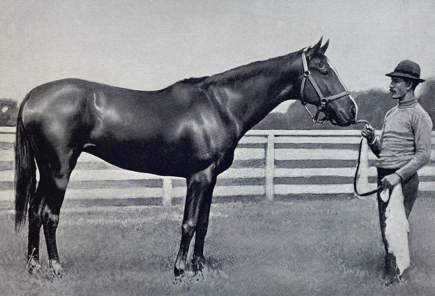 Illustration of Artful from "Racing in America, 1866-1921" (Museum Collection)