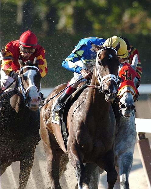 Ashado, John Velazquez up, winning the 2005 Beldame at Belmont Park (NYRA)