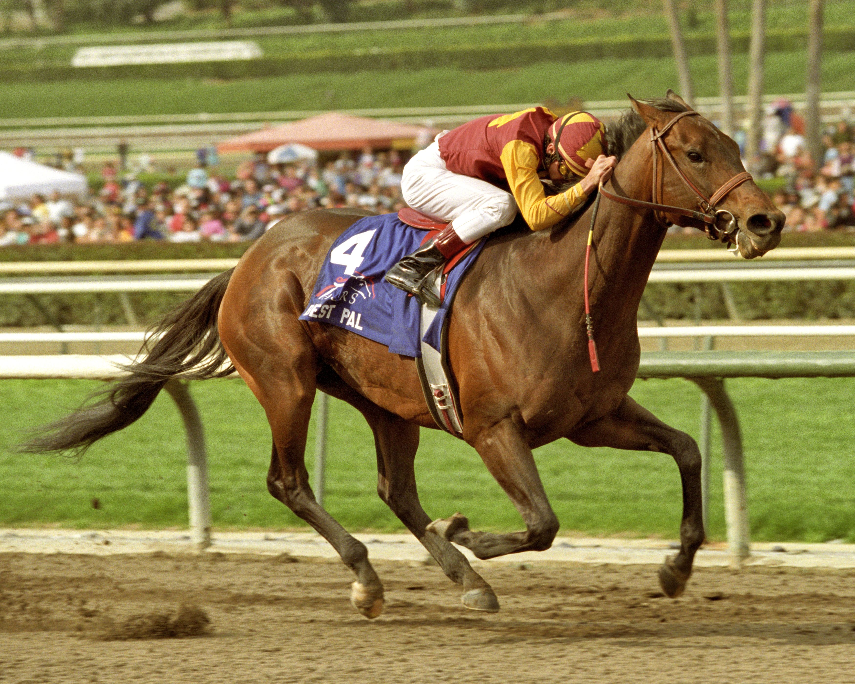 Best Pal (Kent Desormeaux up) winning the 1992 Santa Anita Handicap (Benoit Photo)