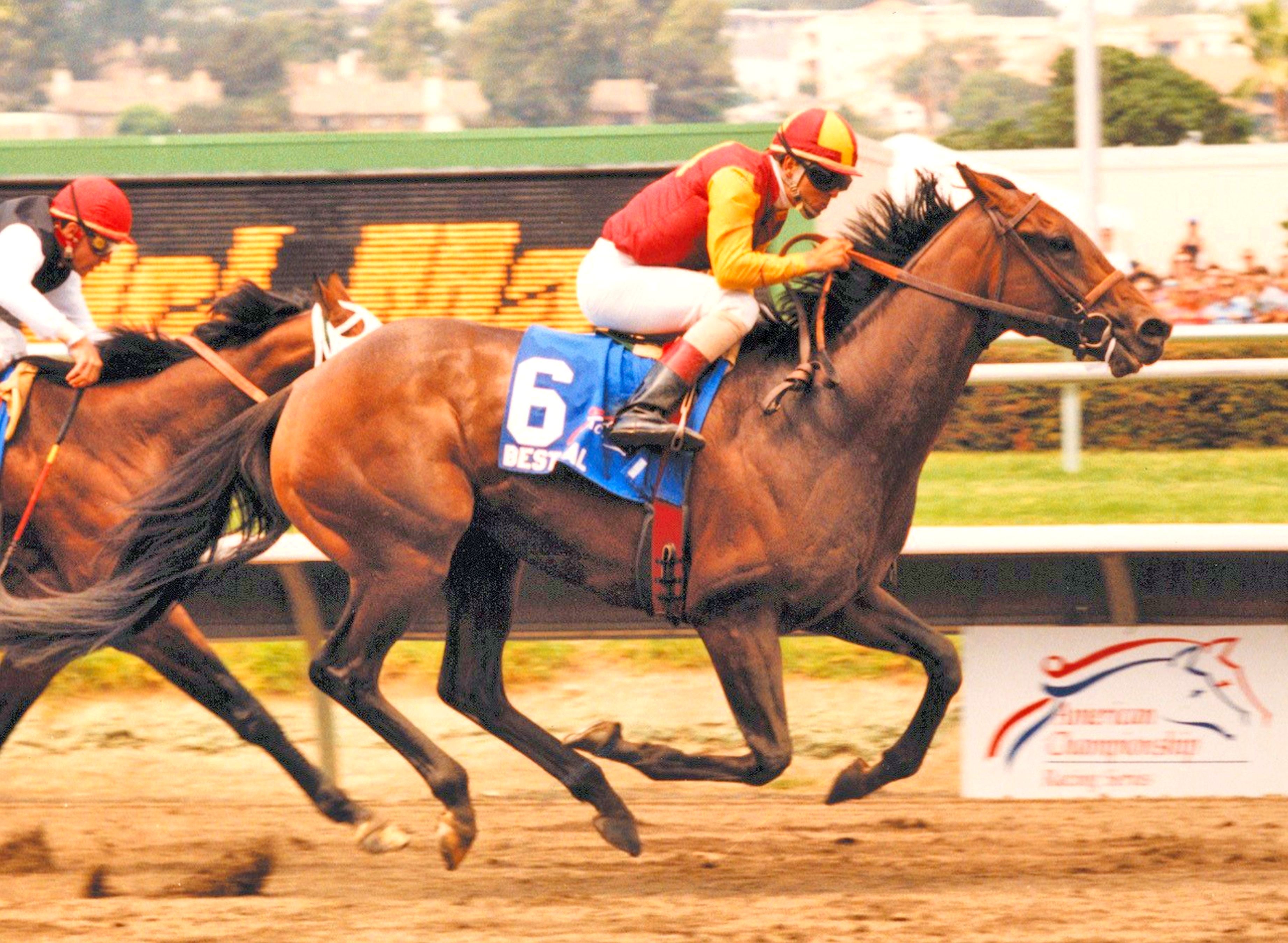 Best Pal (Patrick Valenzuela up) winning the 1991 Pacific Classic at Del Mar (Del Mar Thoroughbred Club)