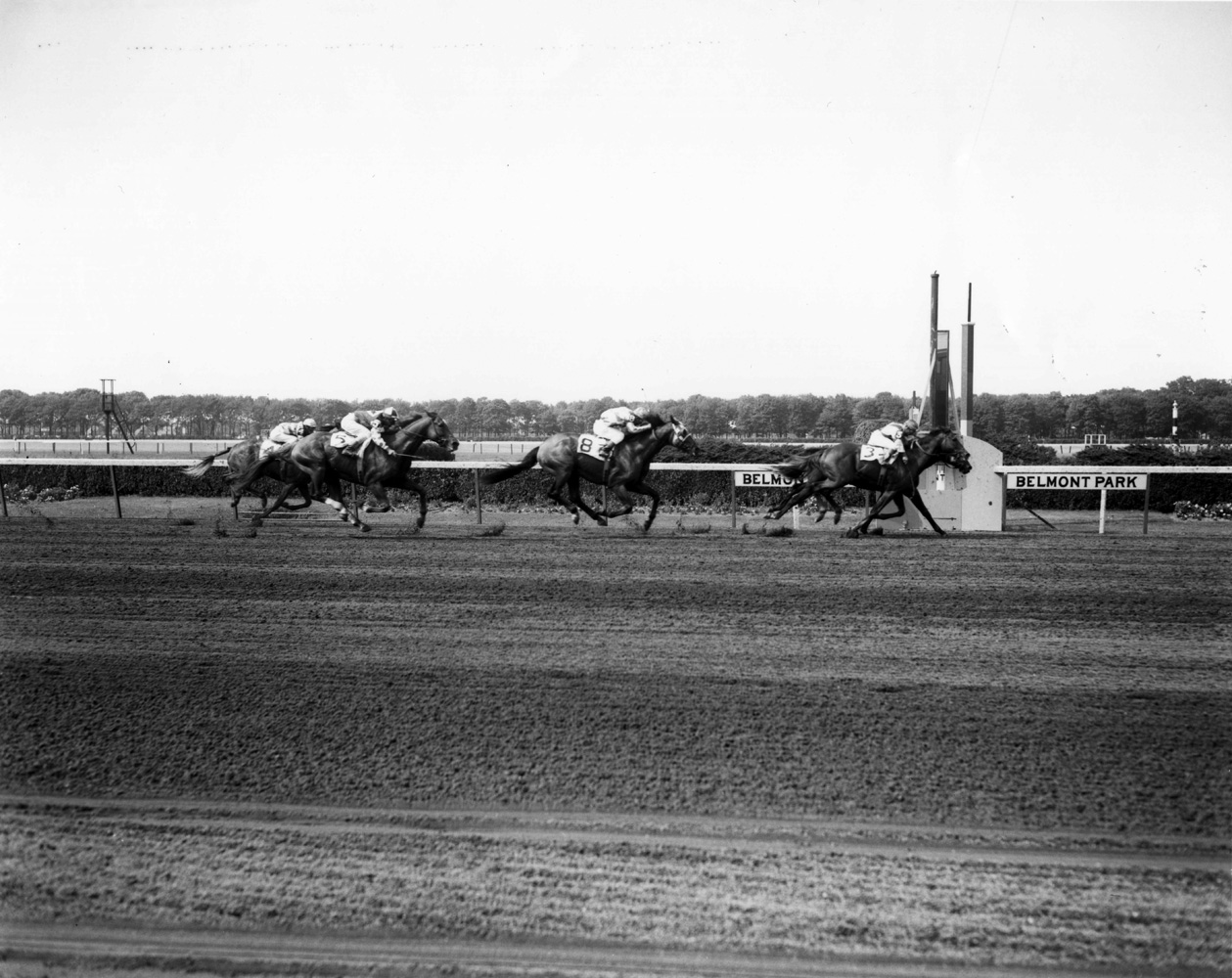 Bold Ruler (Eddie Arcaro up) winning the 1958 Suburban Handicap at Belmont by a nose (Keeneland Library Morgan Collection/Museum Collection)