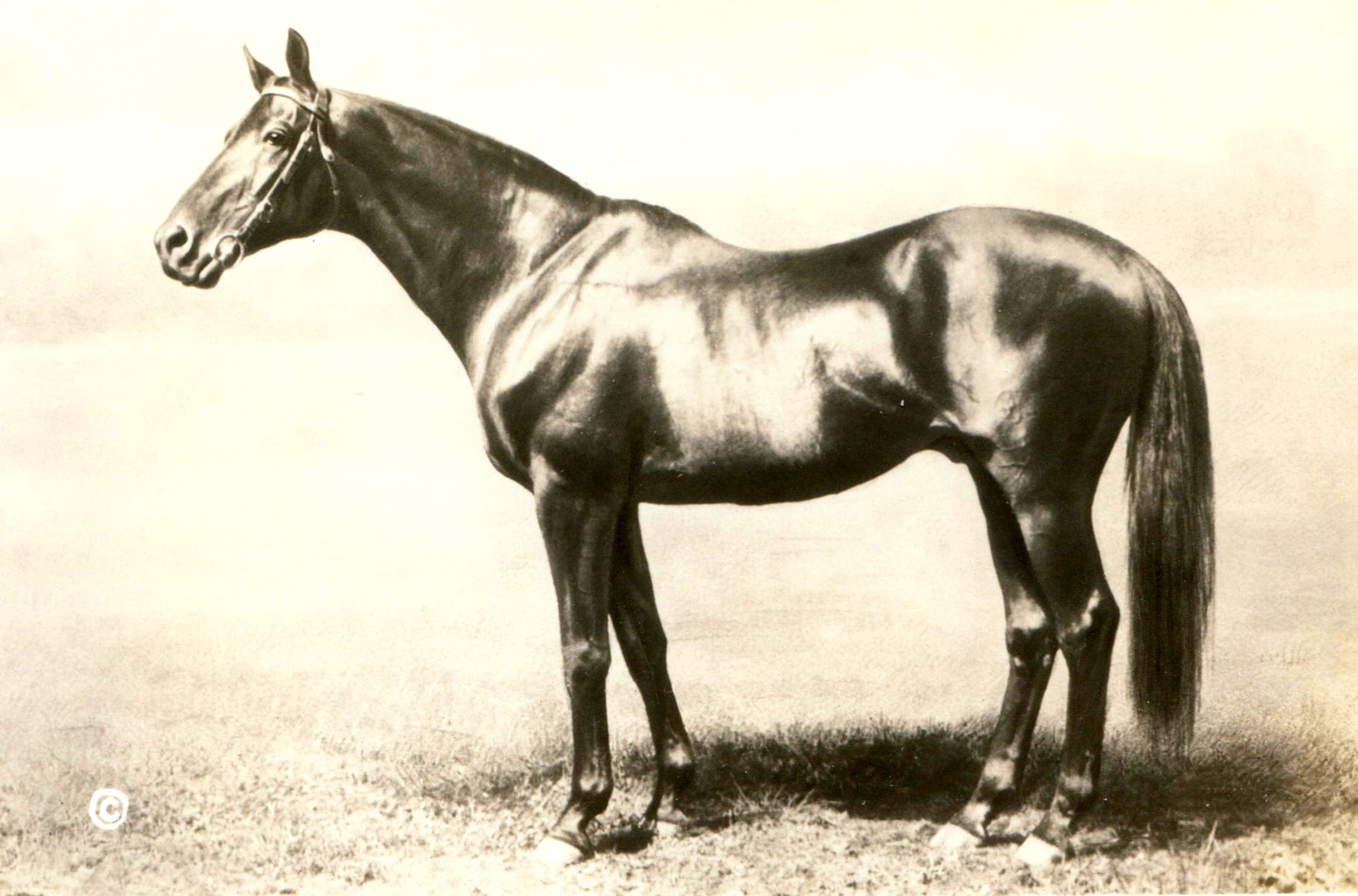 Broomstick in 1926 (L. S. Sutcliffe/Museum Collection)