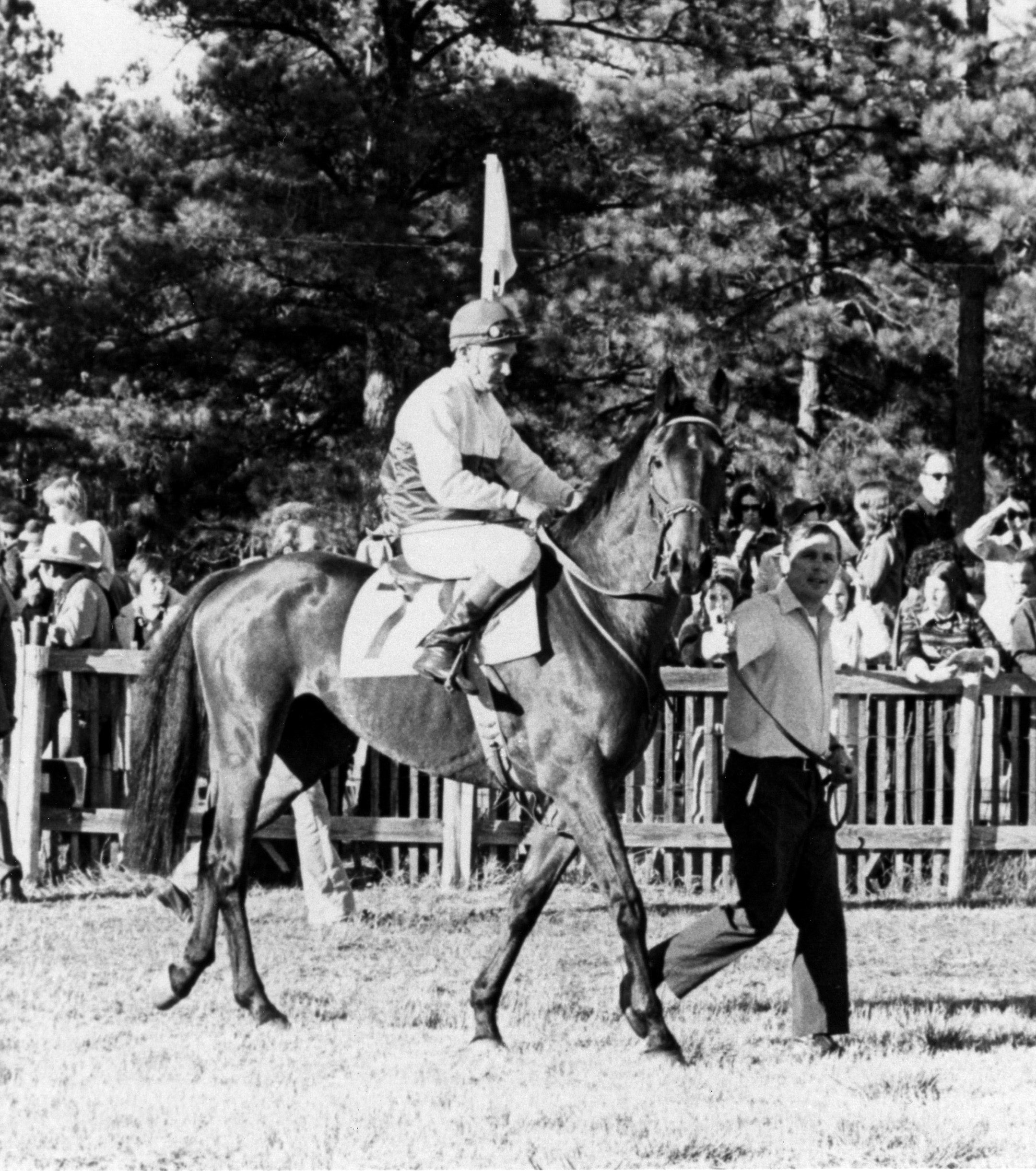 Café Prince at the 1975 Colonial Cup (The BloodHorse/Museum Collection)