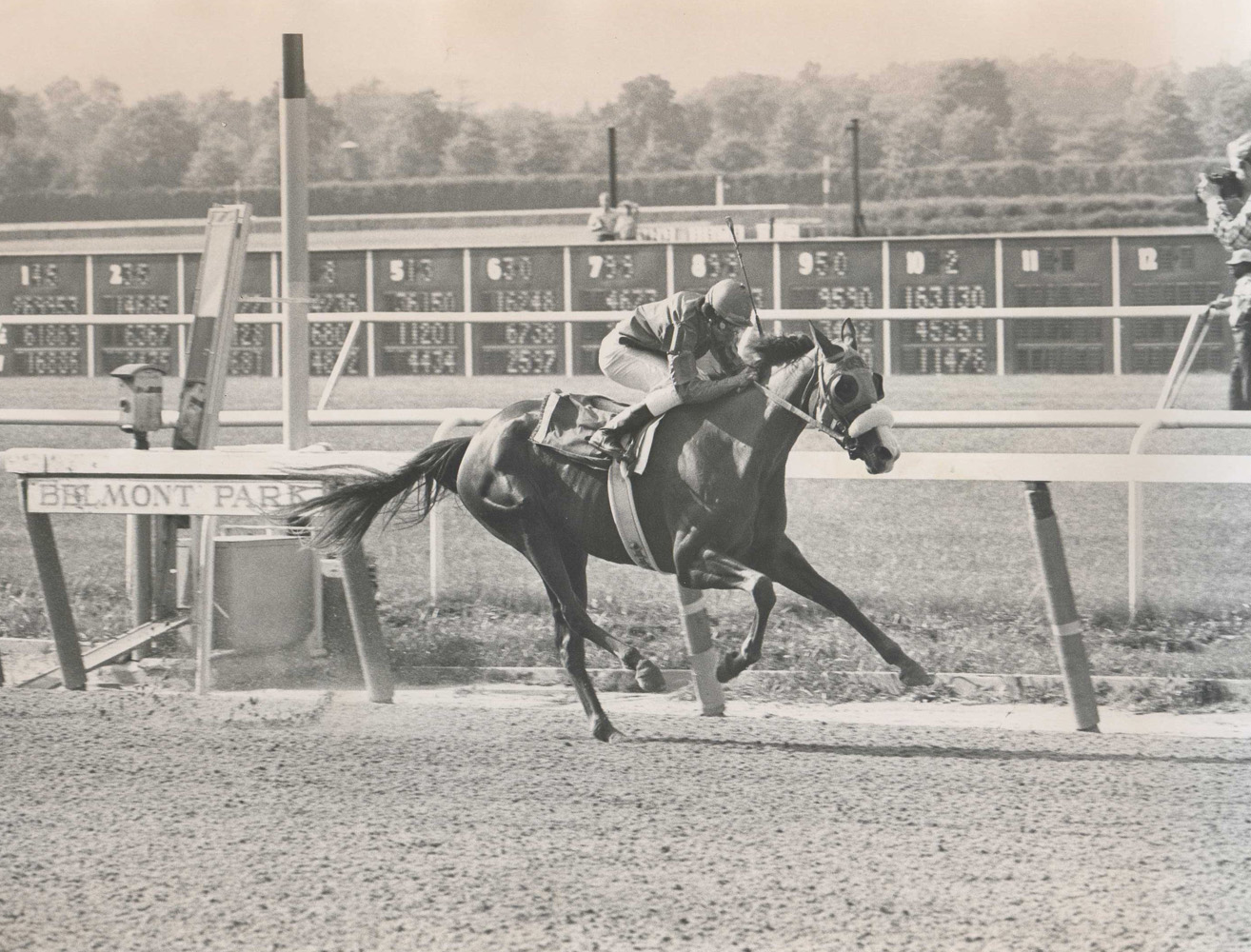 Chris Evert (Jorge Velasquez up) winning the 1974 Coaching Club American Oaks at Belmont Park (Ray Woolfe, Jr./Museum Collection)