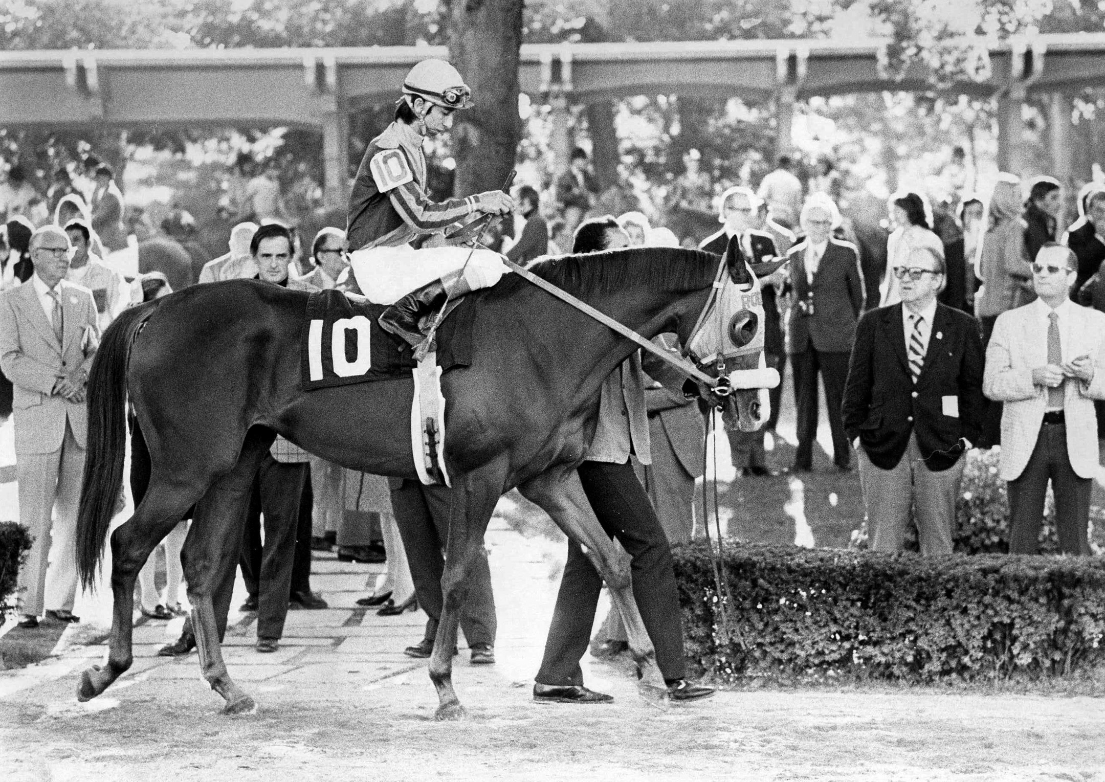 Chris Evert in the paddock before a race in 1974 (Ray Woolfe, Jr./Museum Collection)