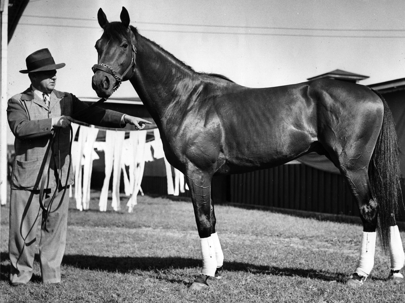 Citation with trainer H. A. "Jimmy" Jones (Museum Collection)