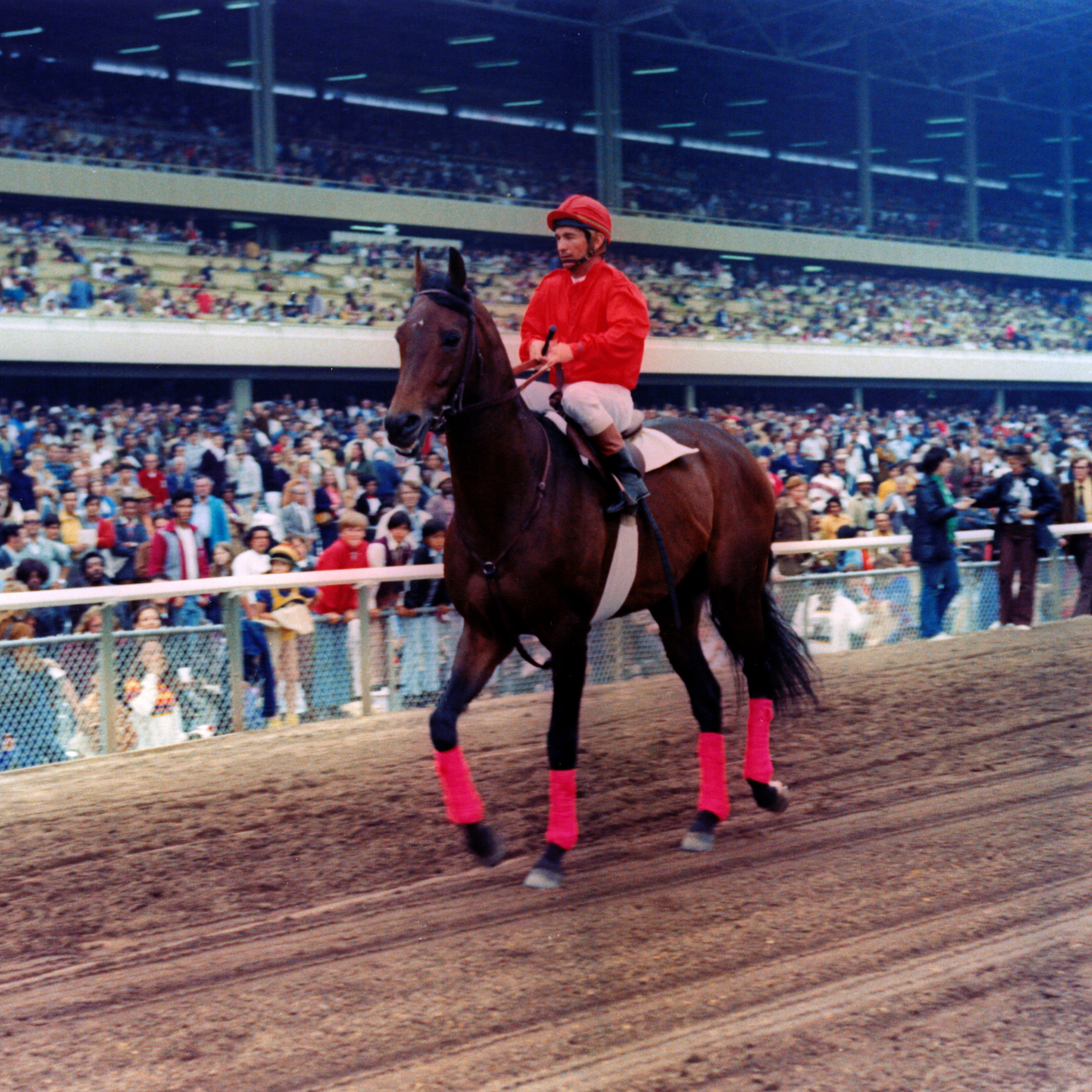 Cougar II at Hollywood Park in 1973 (Bill Mochon/Museum Collection)