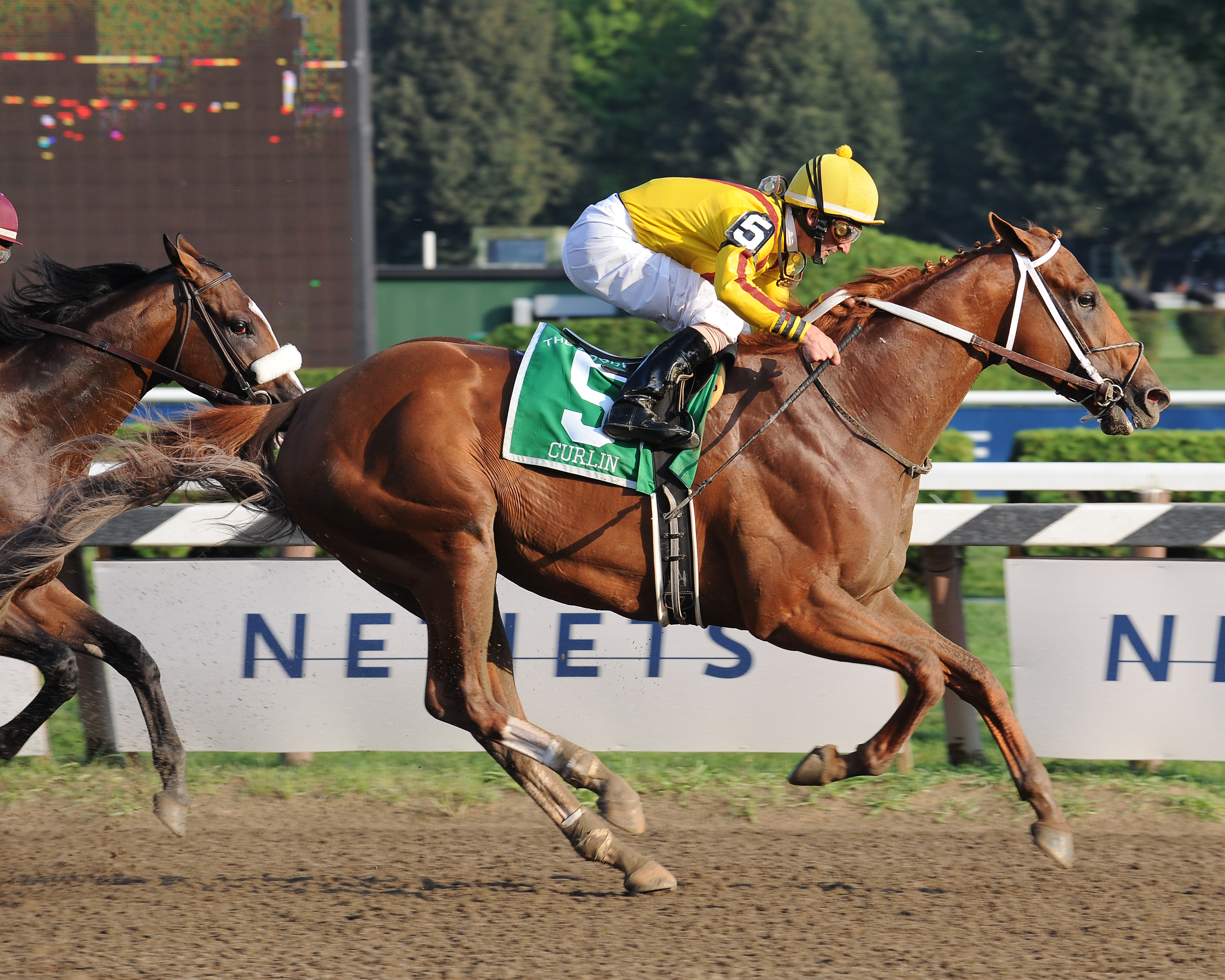 Curlin, Robby Albarado up, winning the 2008 Woodward at Saratoga Race (NYRA)