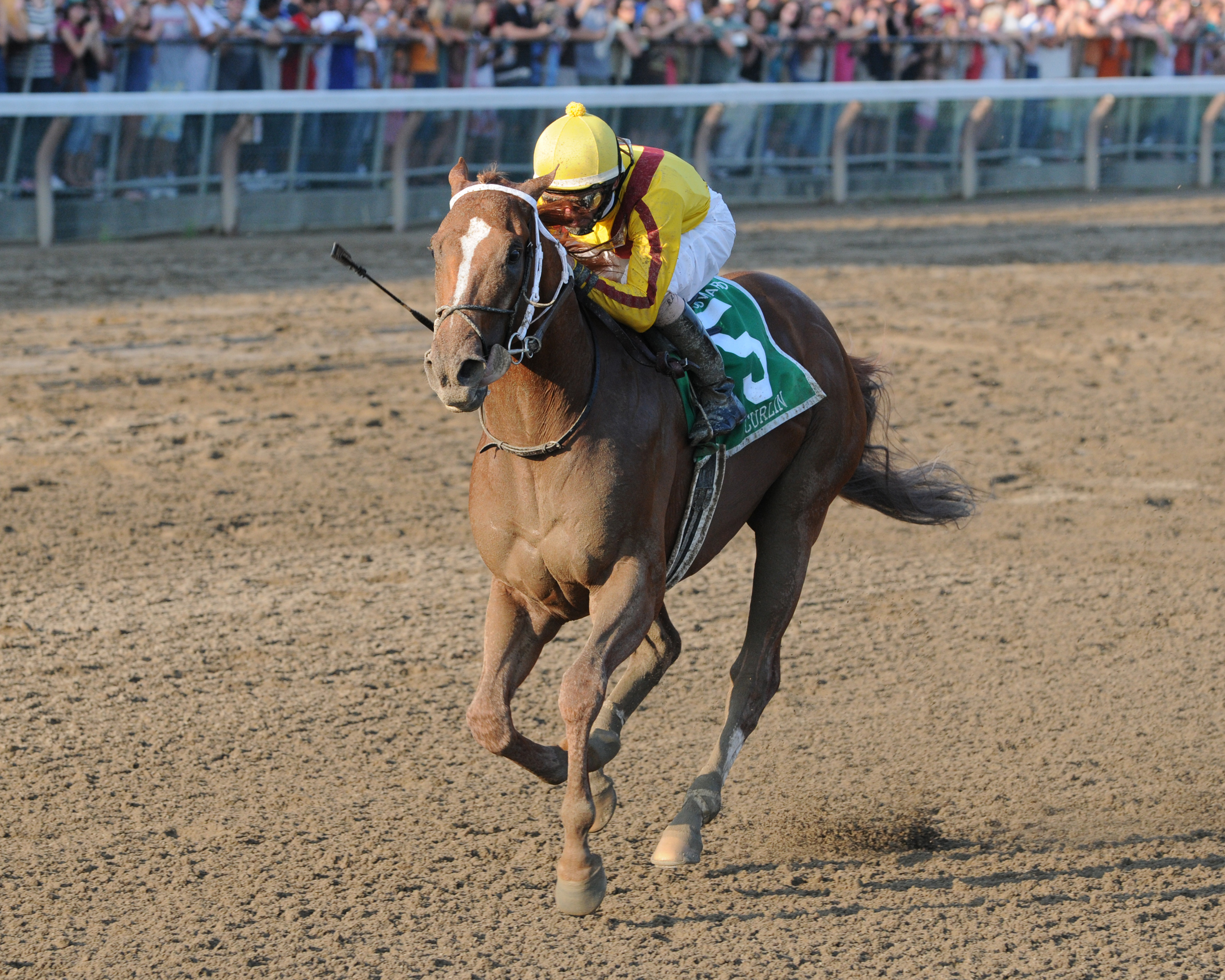 Curlin, Robby Albarado up, winning the 2008 Woodward at Saratoga (NYRA)