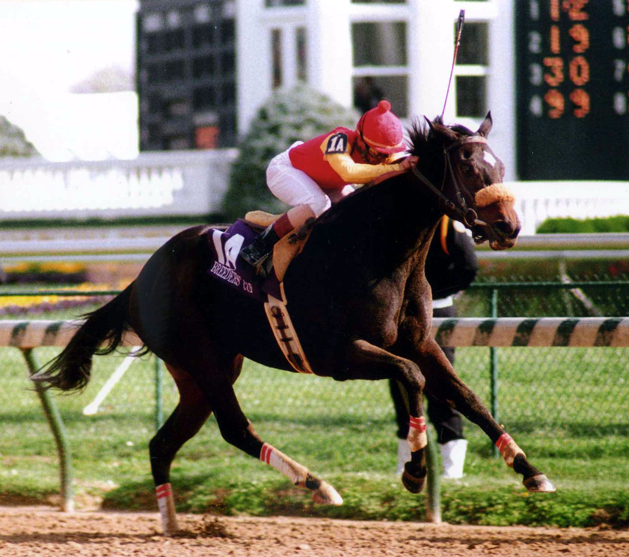 Dance Smartly (Pat Day up) winning the 1991 Breeders' Cup Distaff at Churchill Downs (Barbara D. Livingston/Museum Collection)