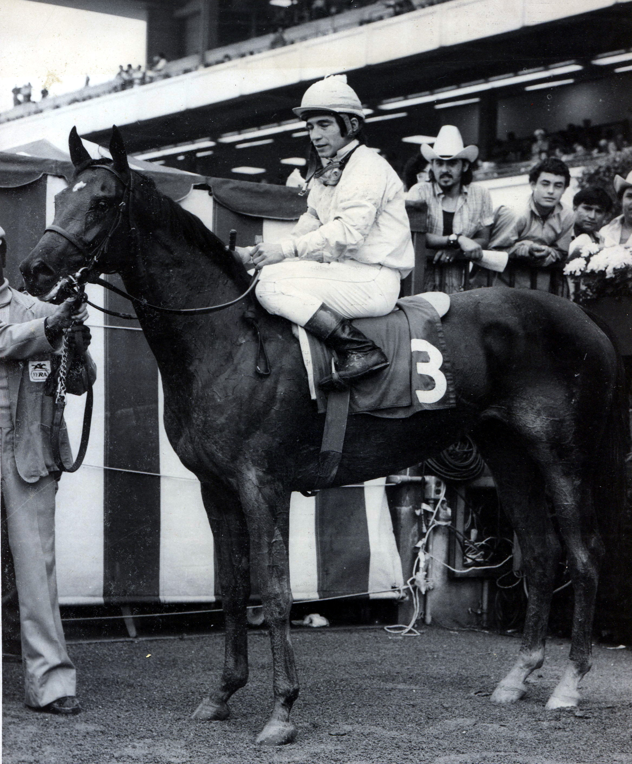 Desert Vixen in the winner's circle (NYRA/Bob Coglianese /Museum Collection)