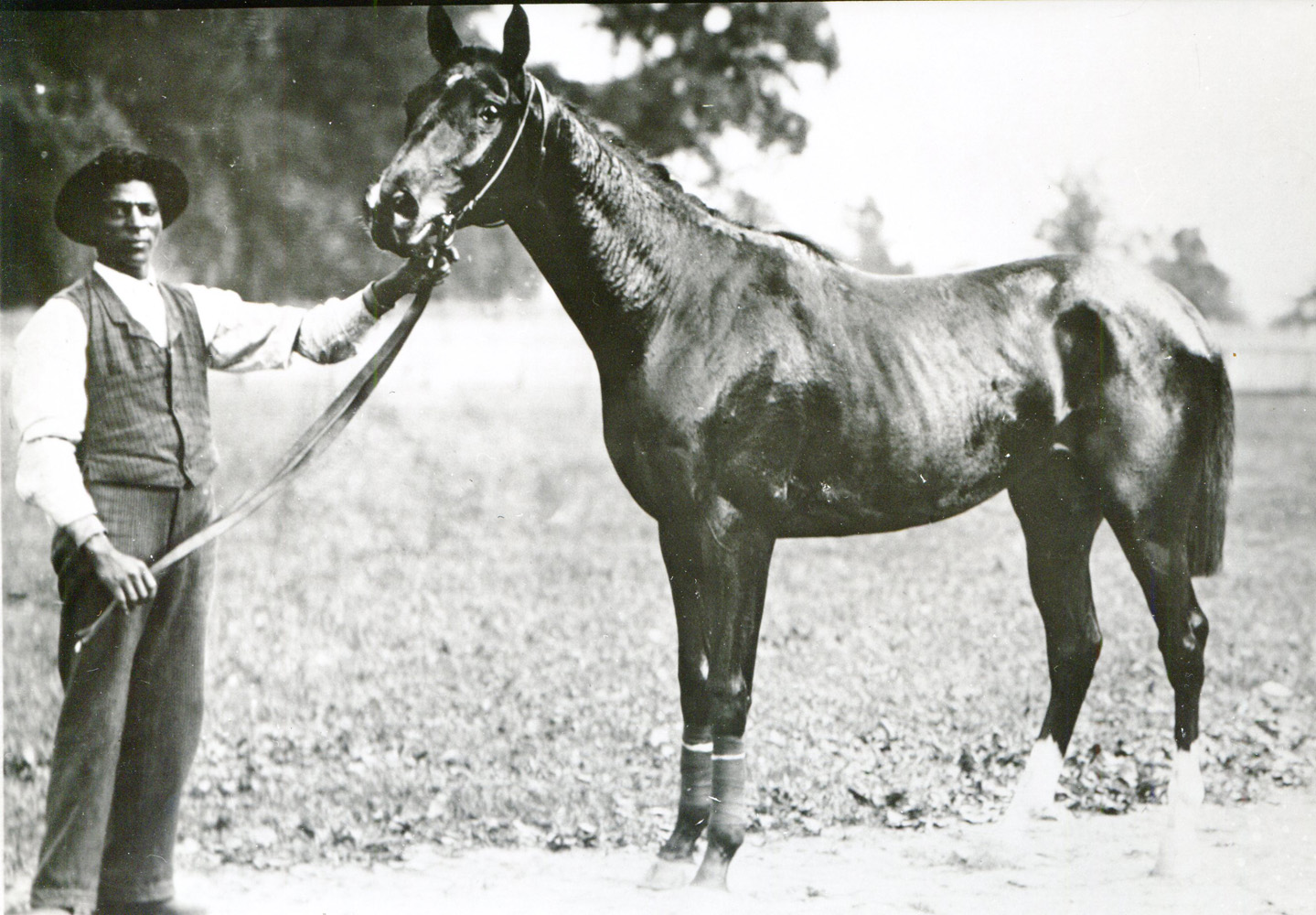 Domino (Museum Collection)