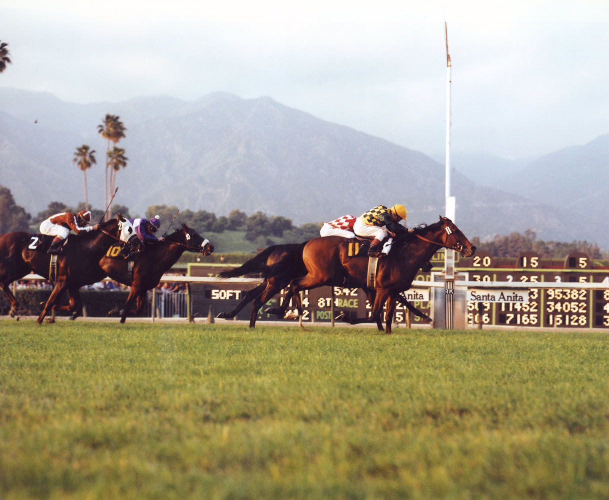 Exceller (Bill Shoemaker up) winning the 1978 San Juan Capistrano Handicap at Santa Anita (Bill Mochon/Museum Collection)