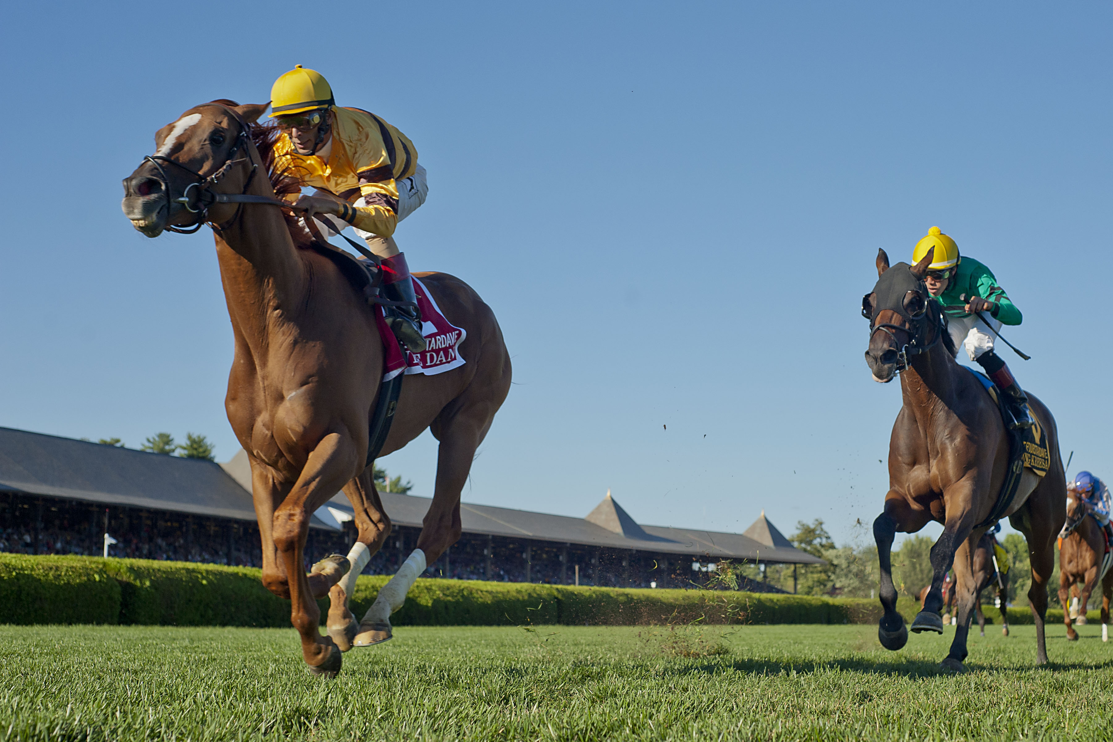 Wise Dan, John Velazquez up (Eric Kalet)