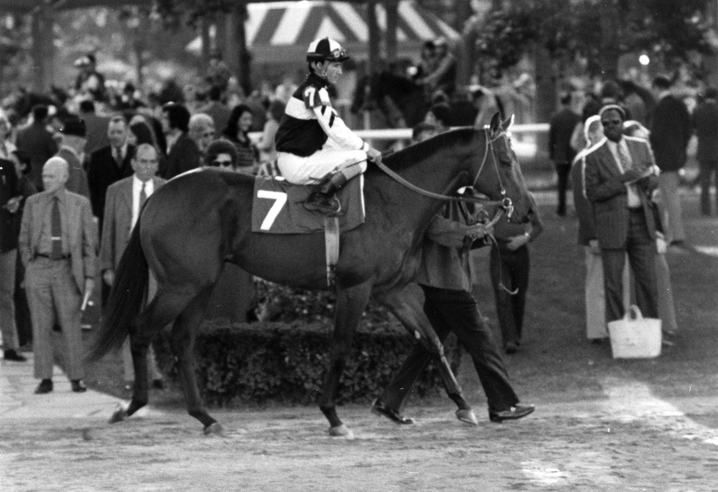 Foolish Pleasure in the paddock in 1974 (Ray Woolfe, Jr./Museum Collection)